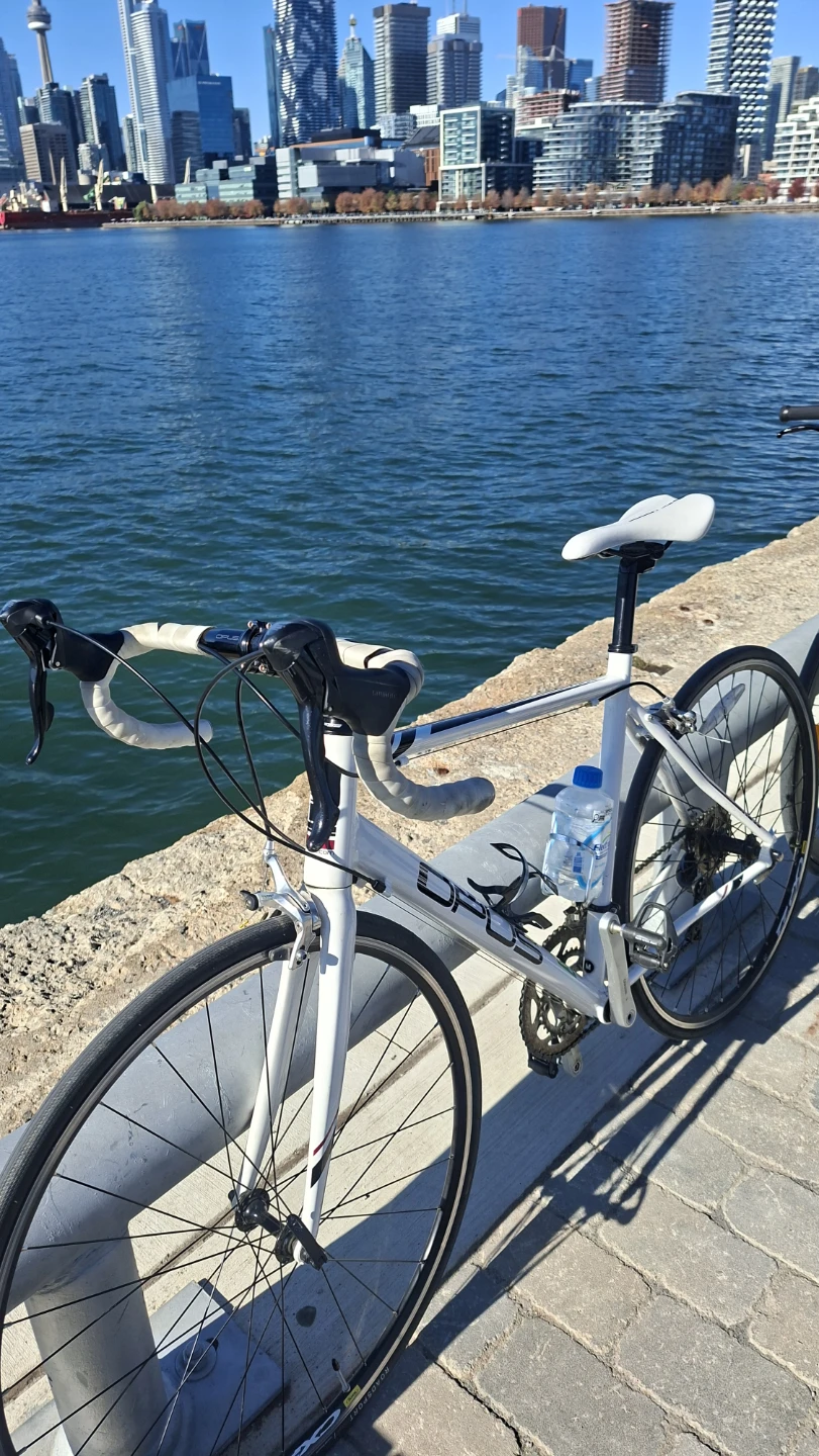 Opus Andante 3.0 Road Bike
