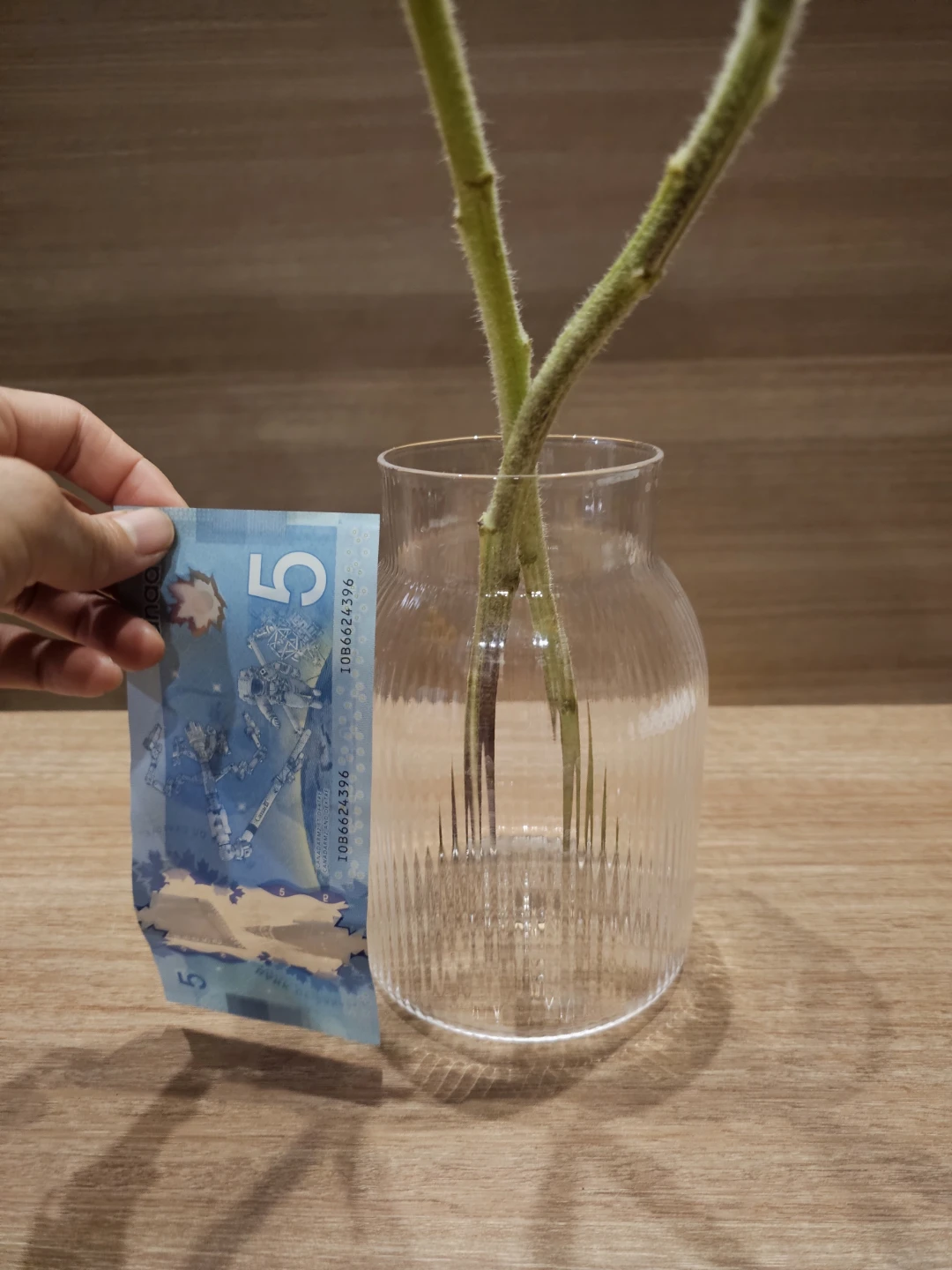 Clear Ribbed Glass Vase - photo 4