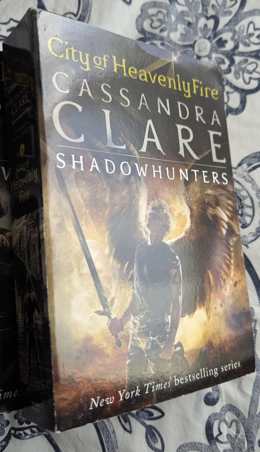 The Mortal Instruments series by Cassandra Clare - photo 3