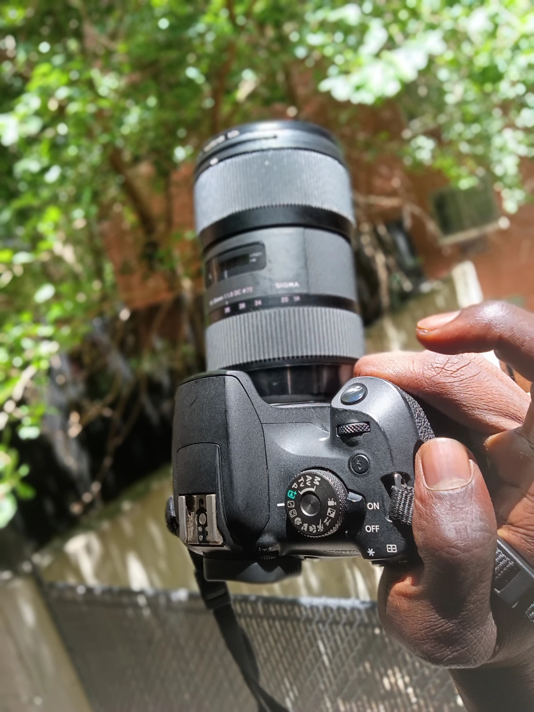 Canon EOS Rebel T7 DSLR Camera