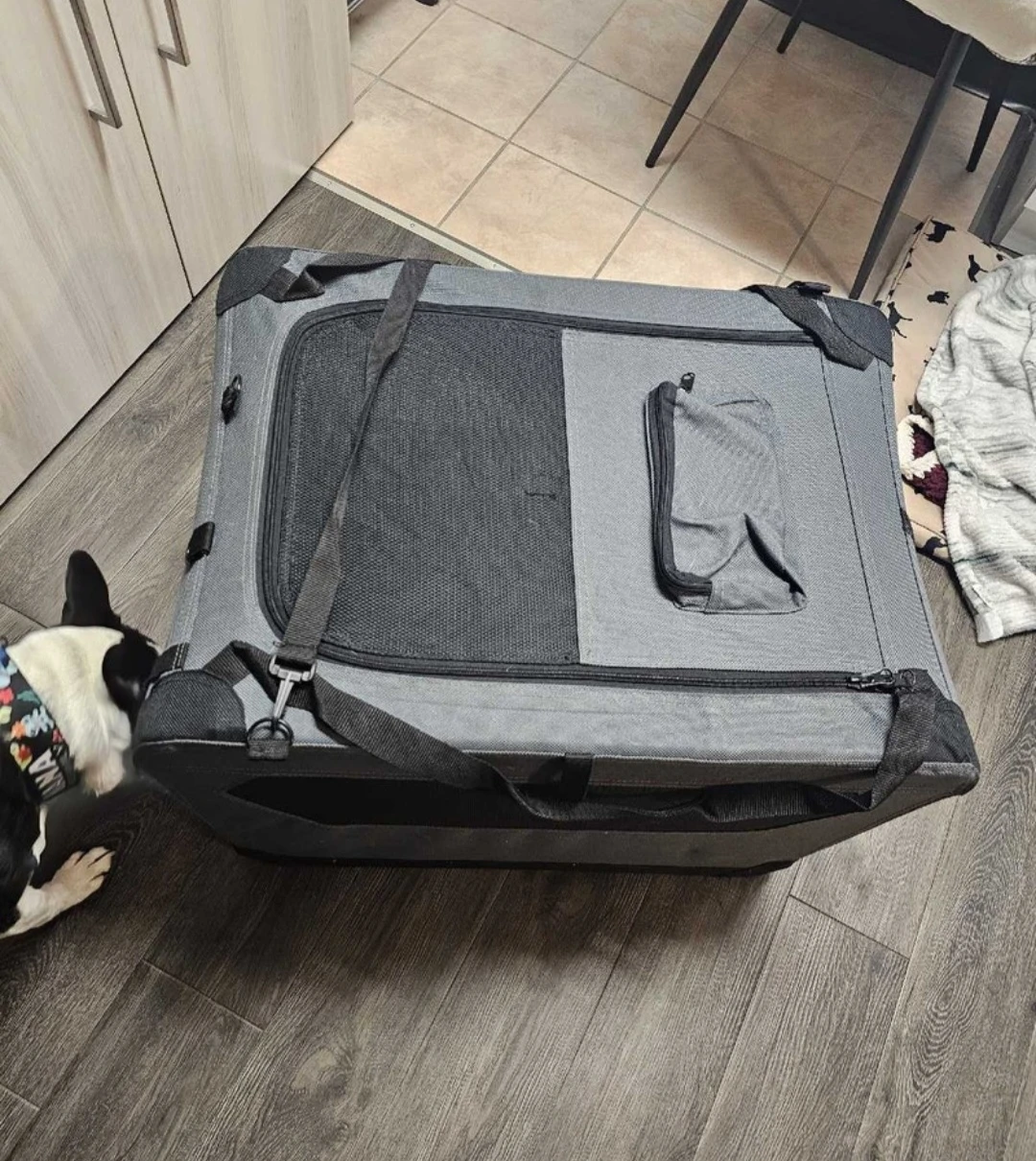 Amazon Basics Folding Soft Pet Crate - photo 2