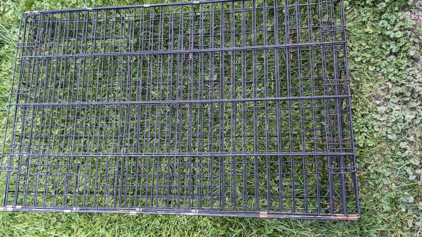 Collapsible metal dog crate