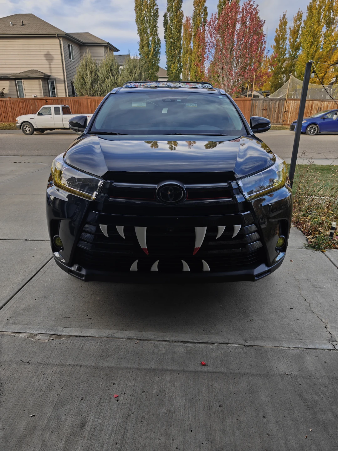 Halloween Vampire Fangs for Cars