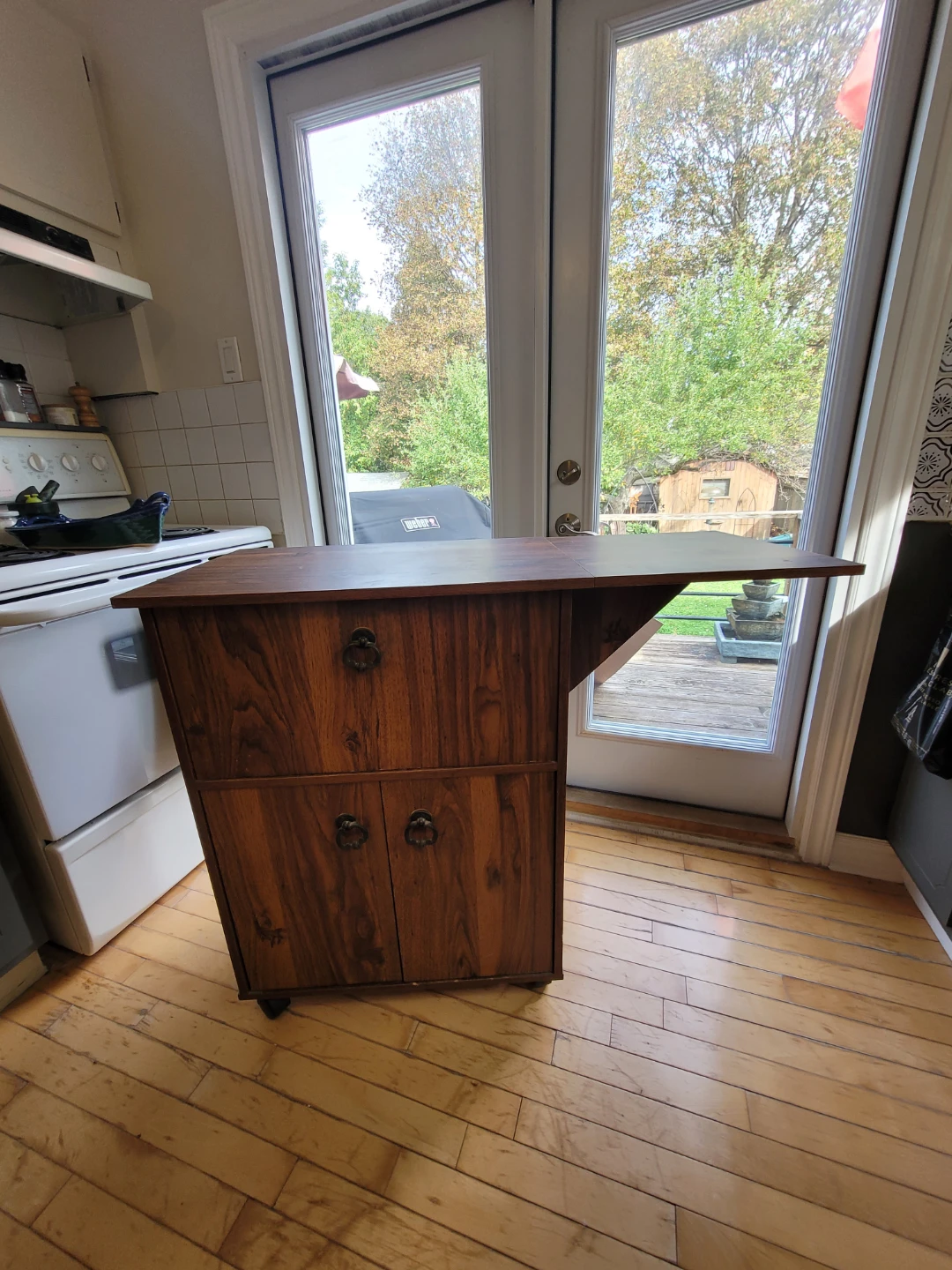 Mobile Kitchen Island Cabinet - photo 3