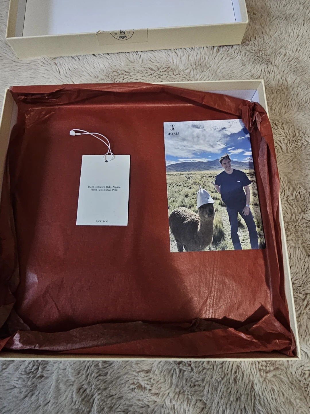 Bjorli Baby Alpaca Wool Hat - photo 4