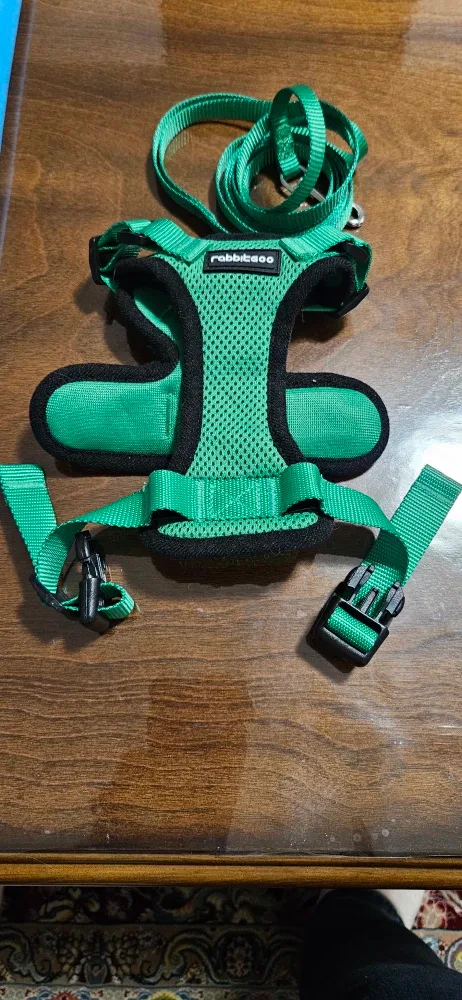 Rabbitgoo Green Cat Harness & Leash Set image indicator(4)