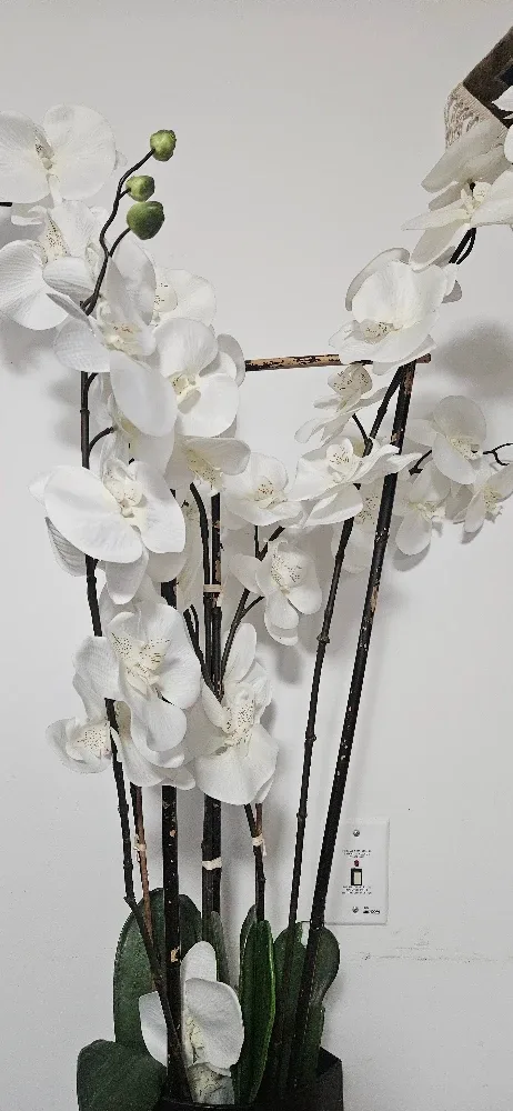 Faux White Orchid in Black Pot
