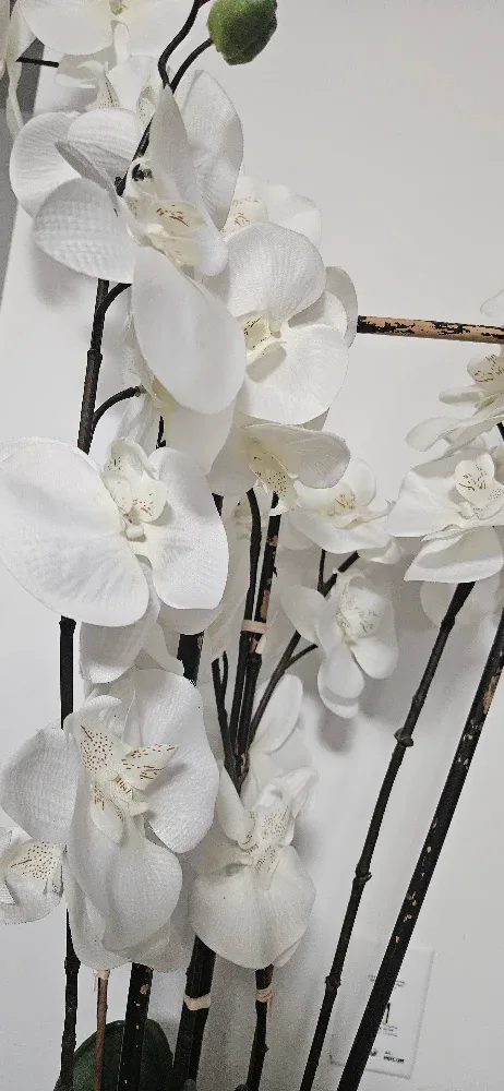 Faux White Orchid in Black Pot image indicator(2)