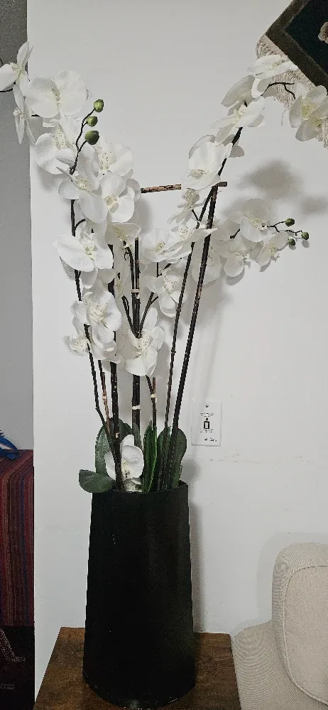 Faux White Orchid in Black Pot image indicator(3)