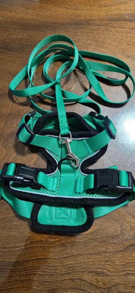 Rabbitgoo Green Cat Harness & Leash Set image indicator(3)