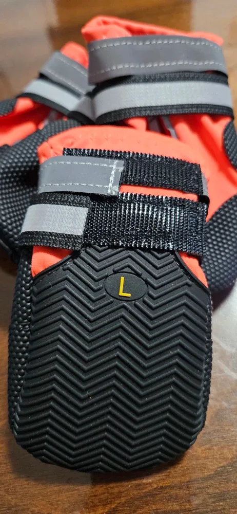 Dog Boots - Size L image indicator(3)