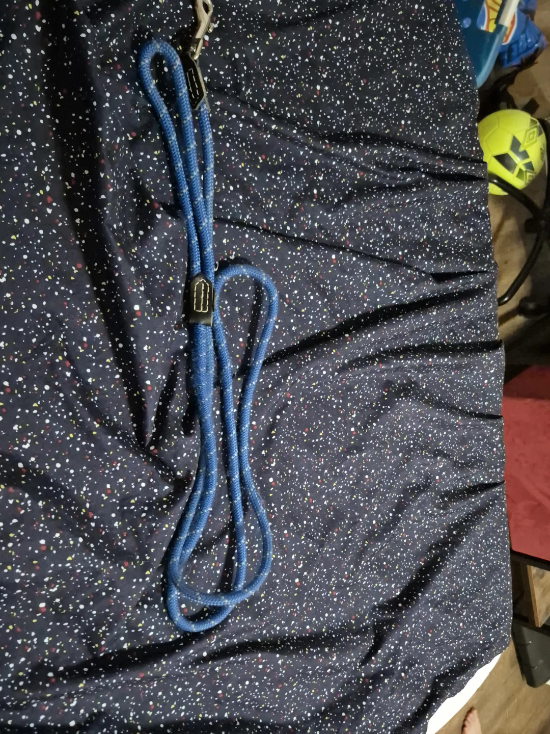 Blue Rope Dog Leash