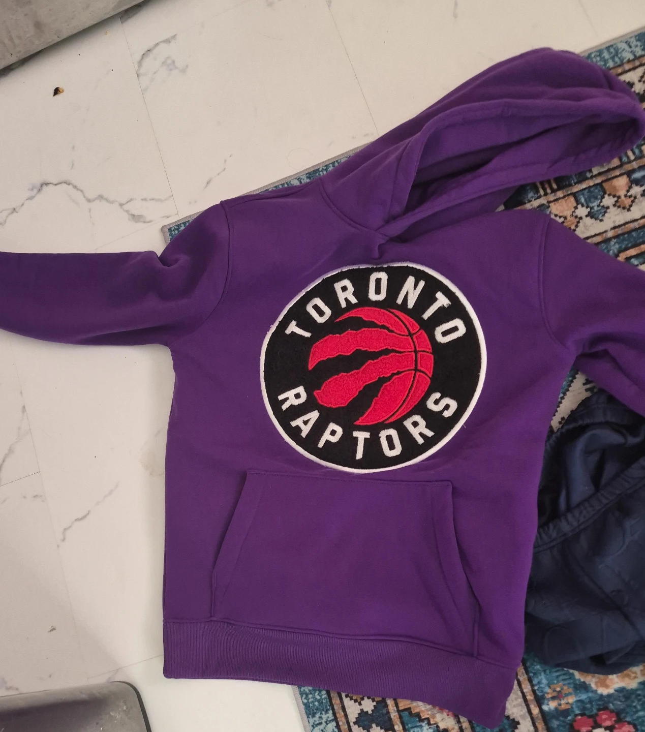 Toronto Raptors Purple Hoodie