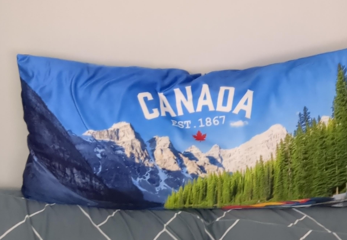 Canadian Landscape Pillow thumbnail