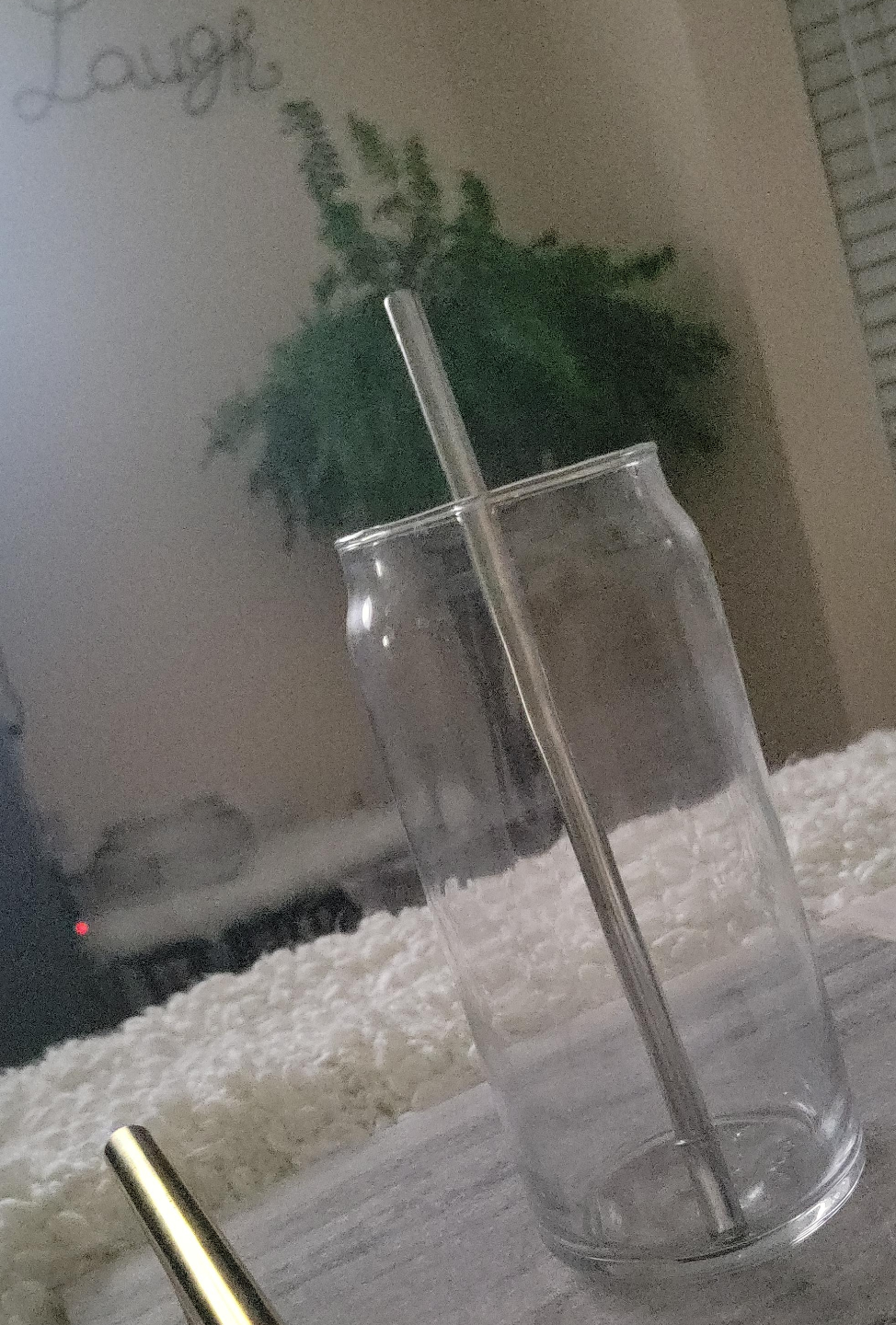 Glass Tumbler with Straw