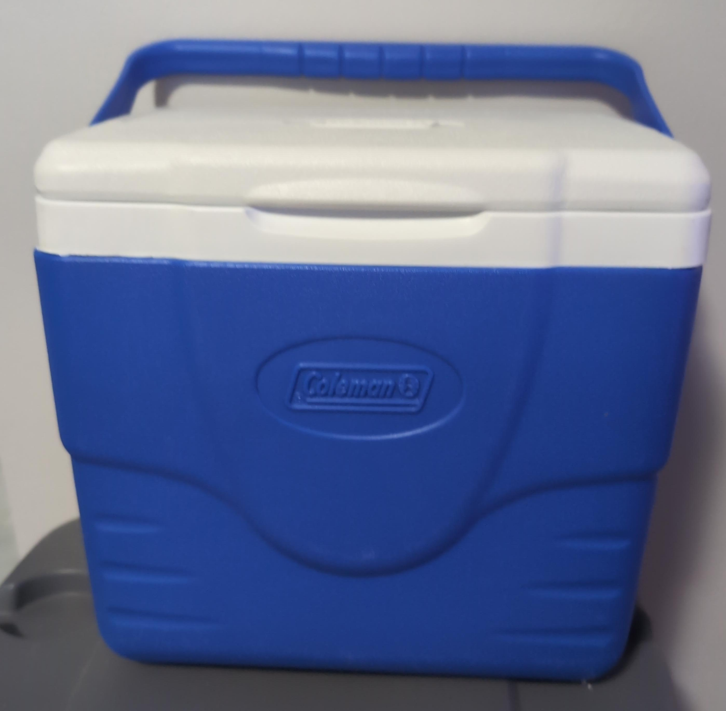 Coleman 16 Quart Cooler thumbnail