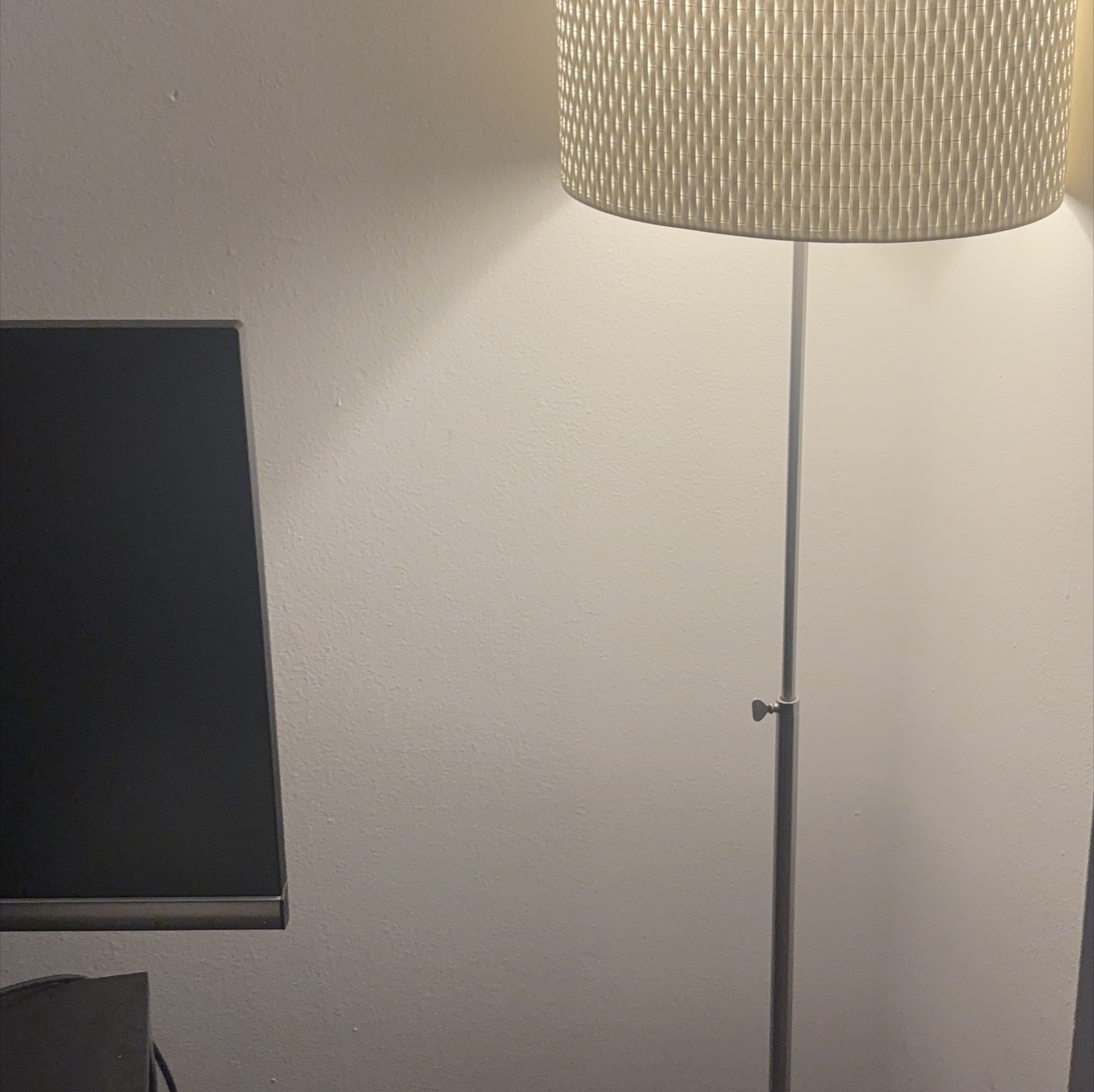 Modern Floor Lamp with Woven Shade - photo 2