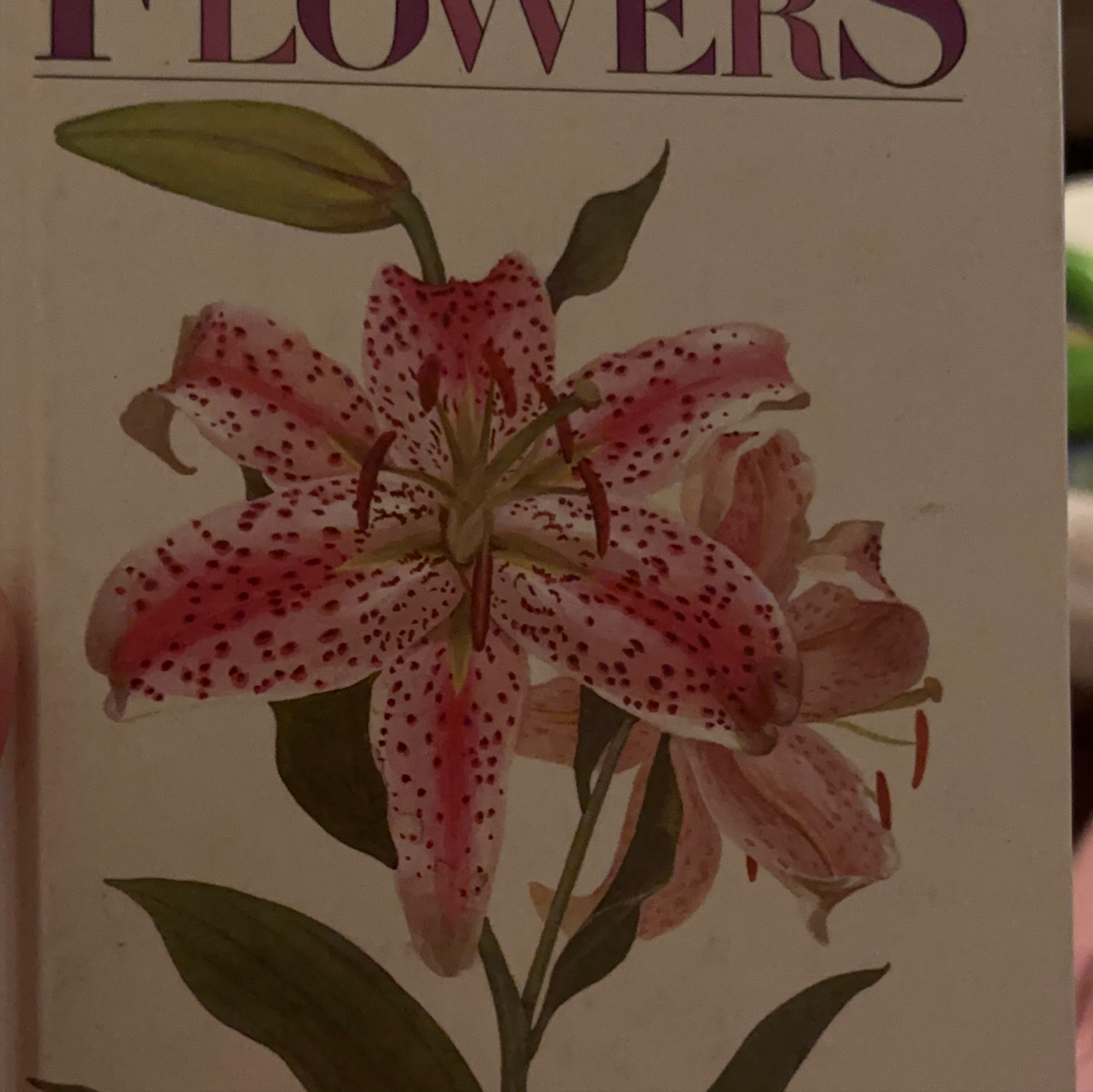 Flowers Book thumbnail