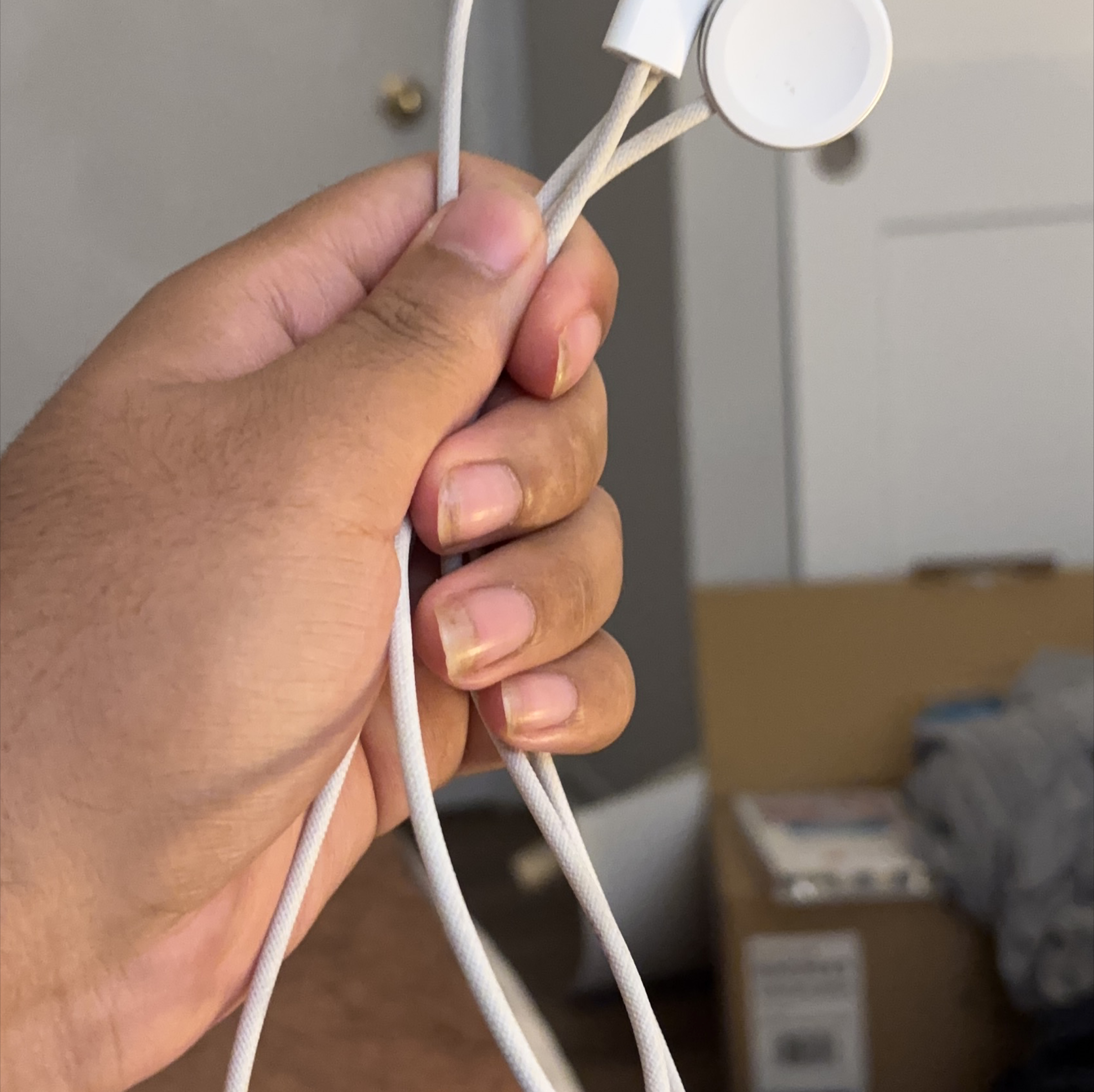 Apple Earpods with Charging Case thumbnail