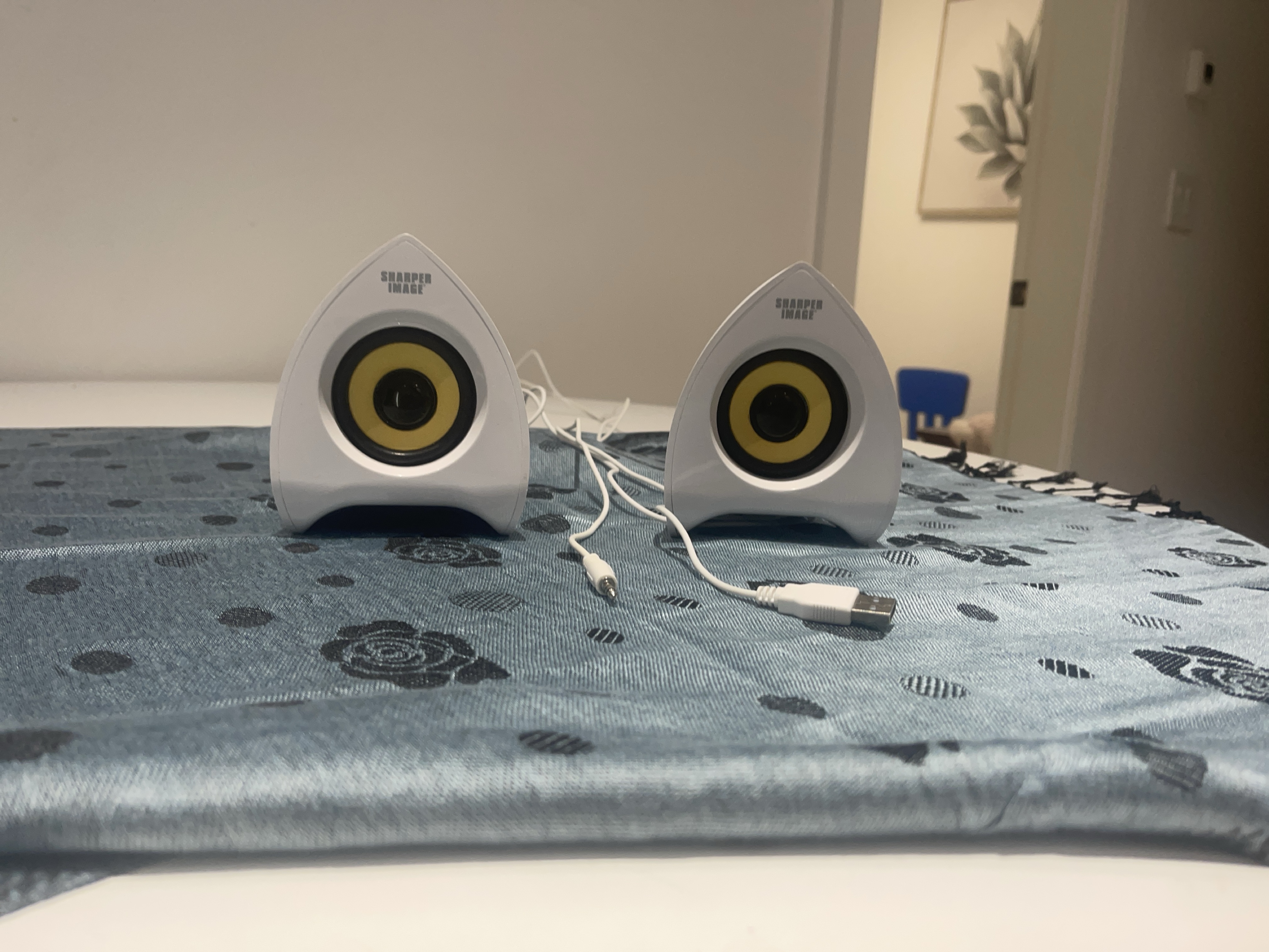 Sharper Image Computer Speakers