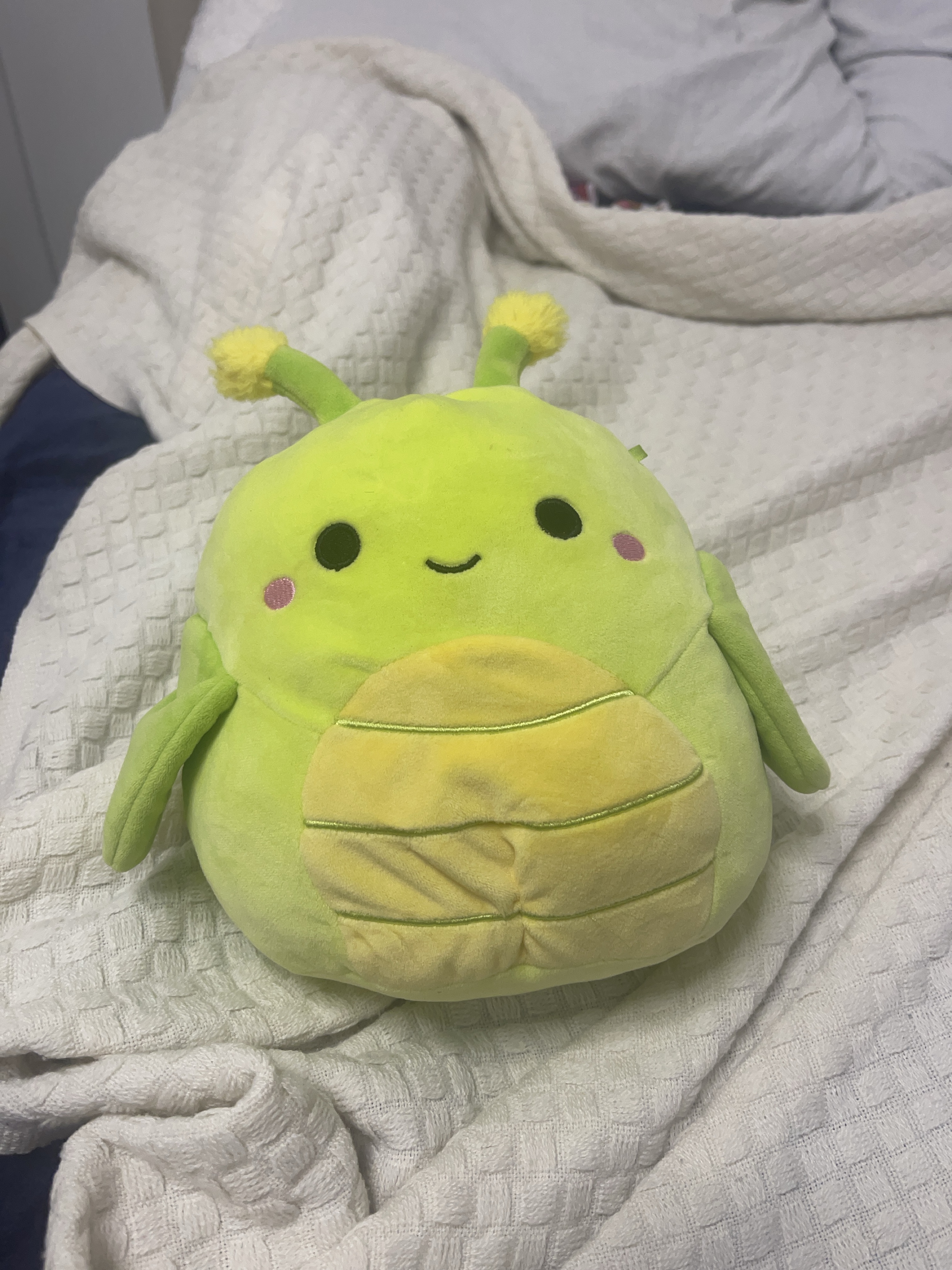 Squishmallow 8” Alien Plush