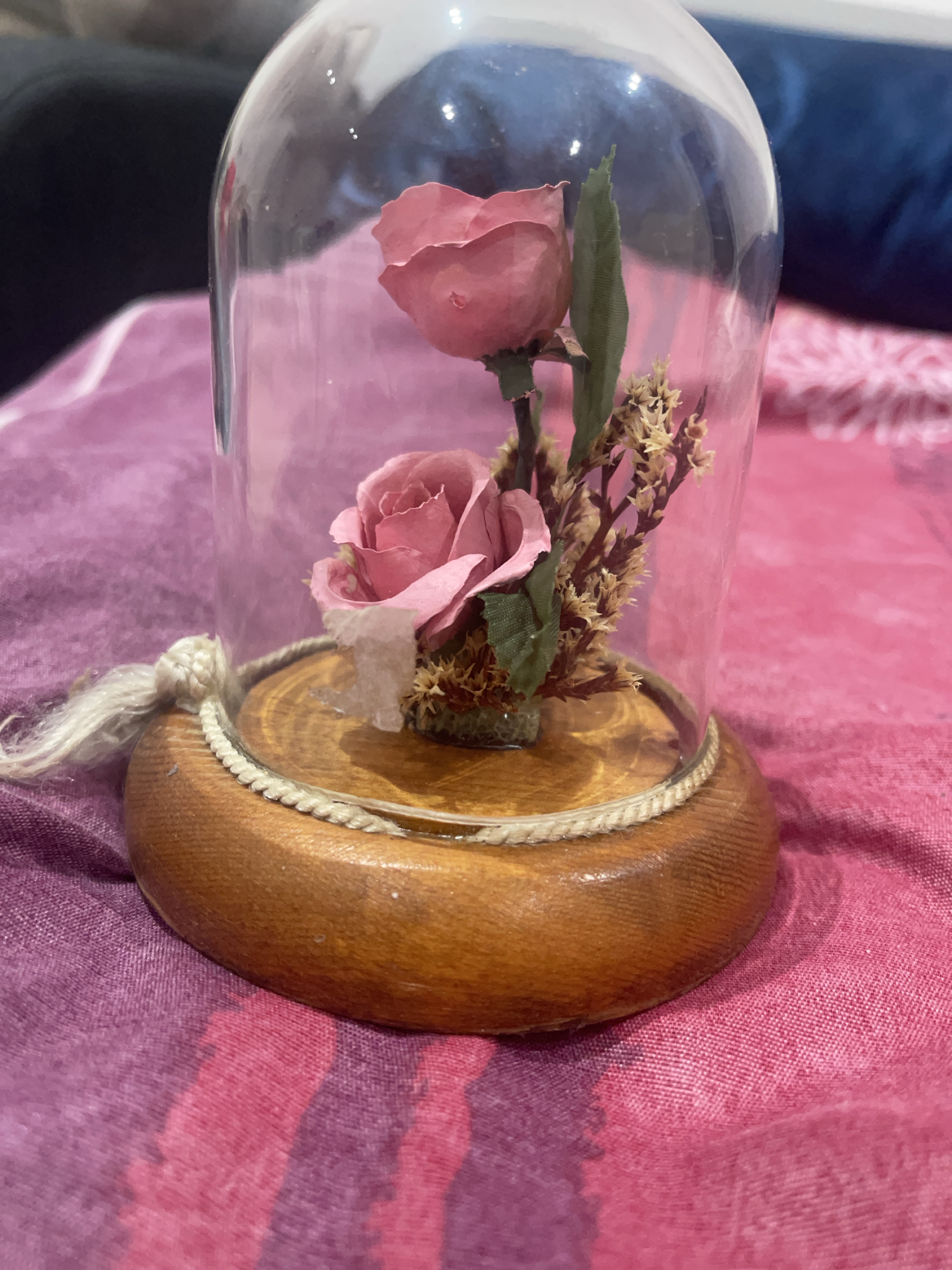 Glass Dome with Pink Roses