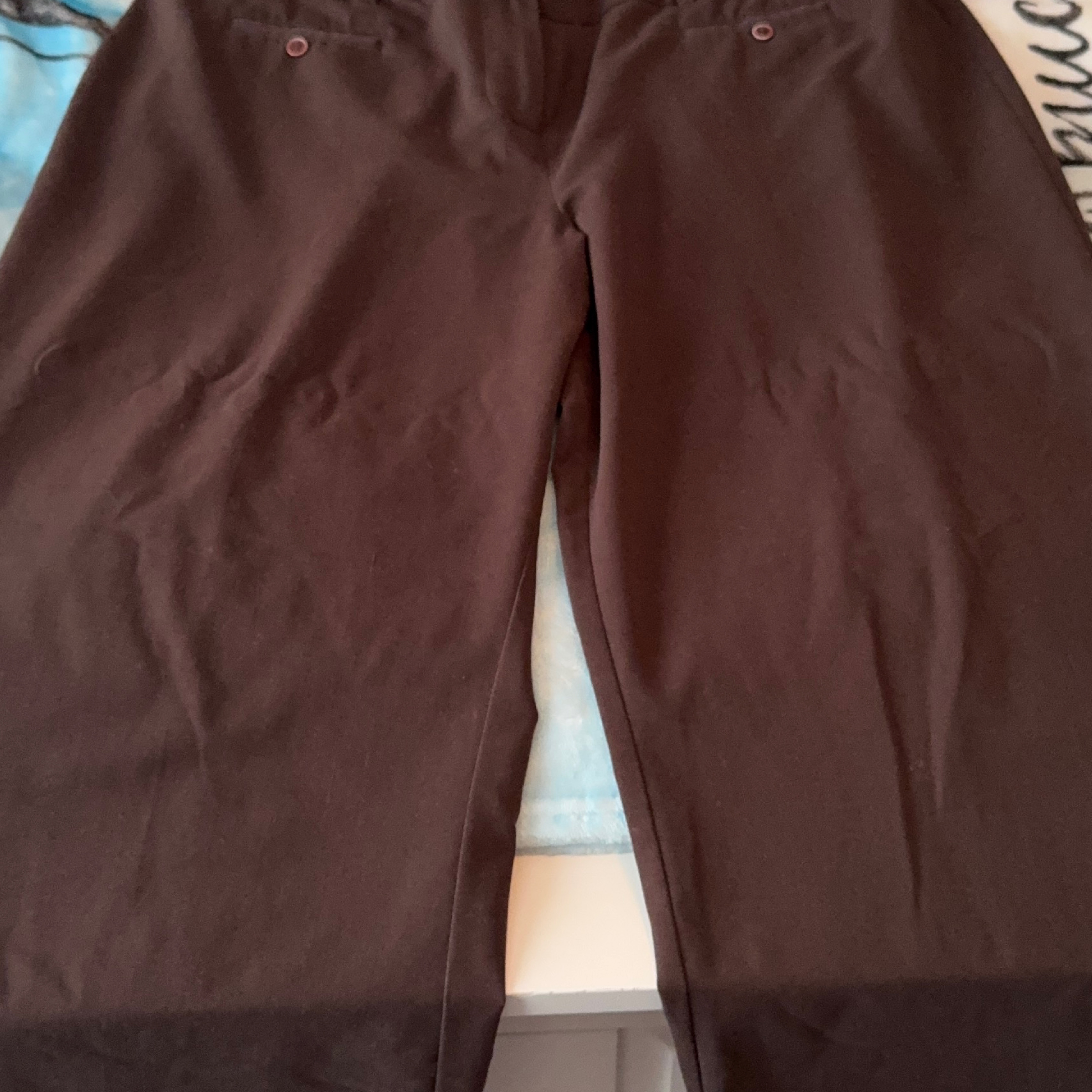 Rickis Brown Flat Front Pants Size 12 thumbnail