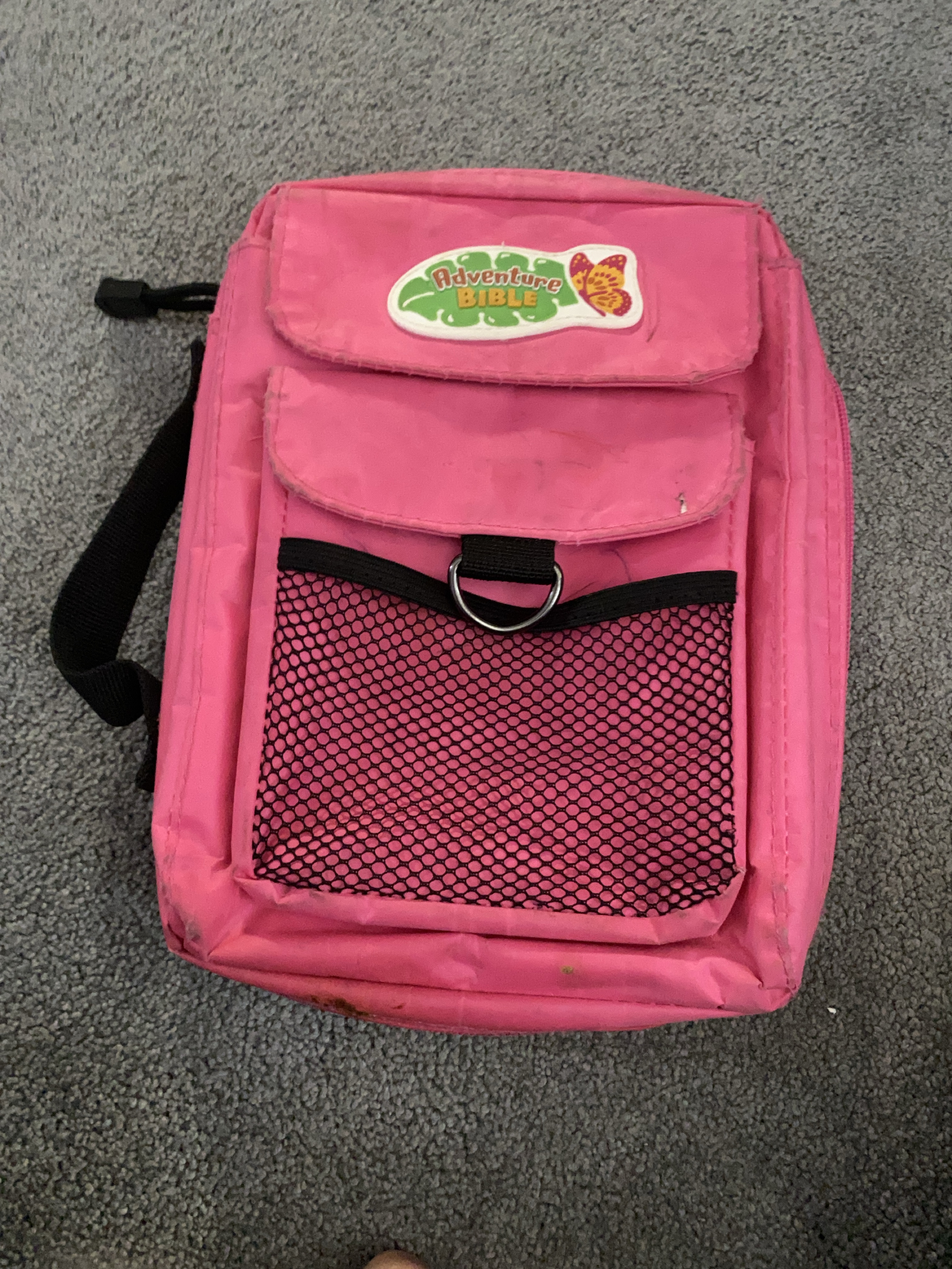 Pink Adventure Bible Carrying Case thumbnail