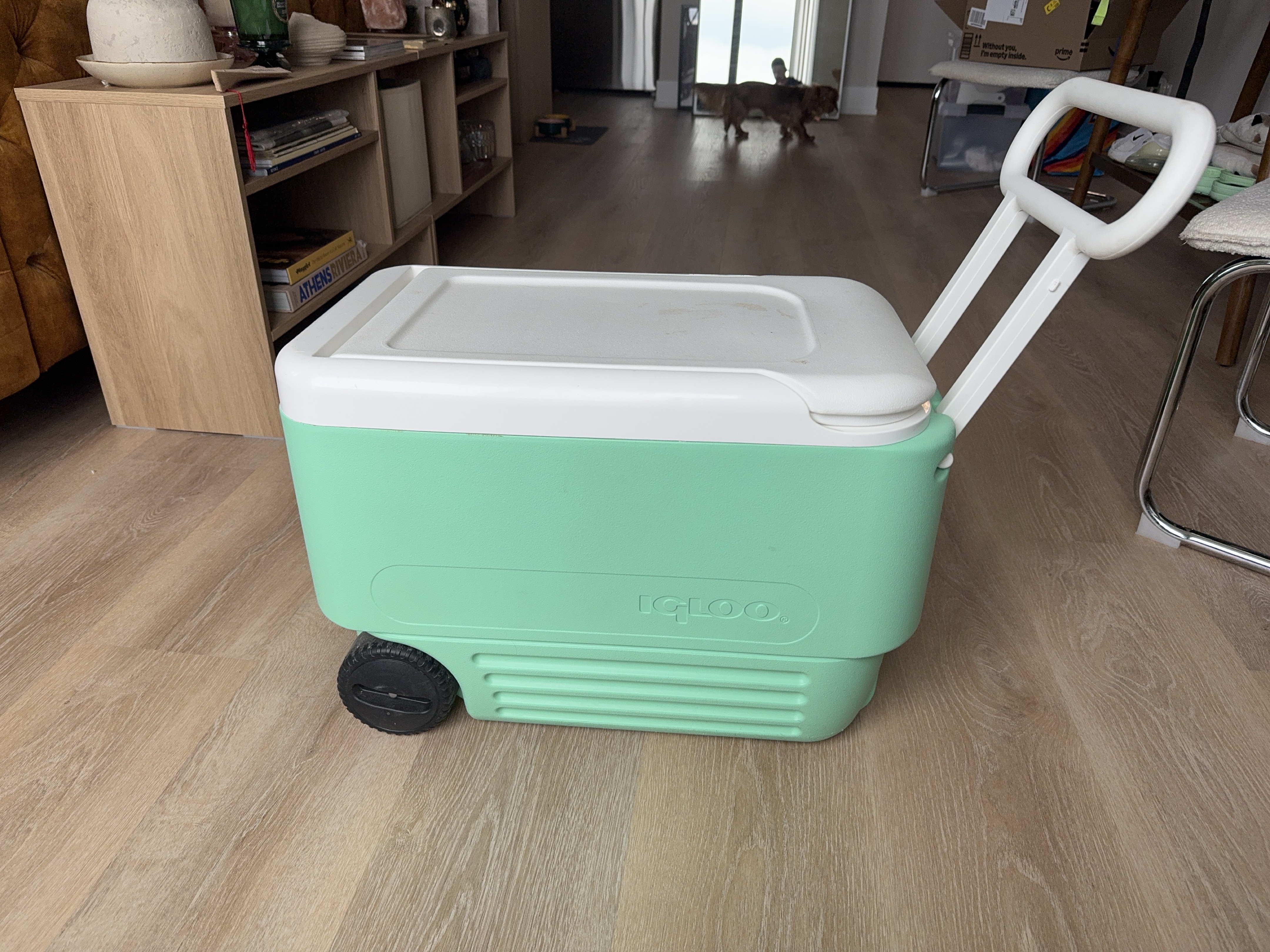 IGLOO Rolling Cooler - Mint Green