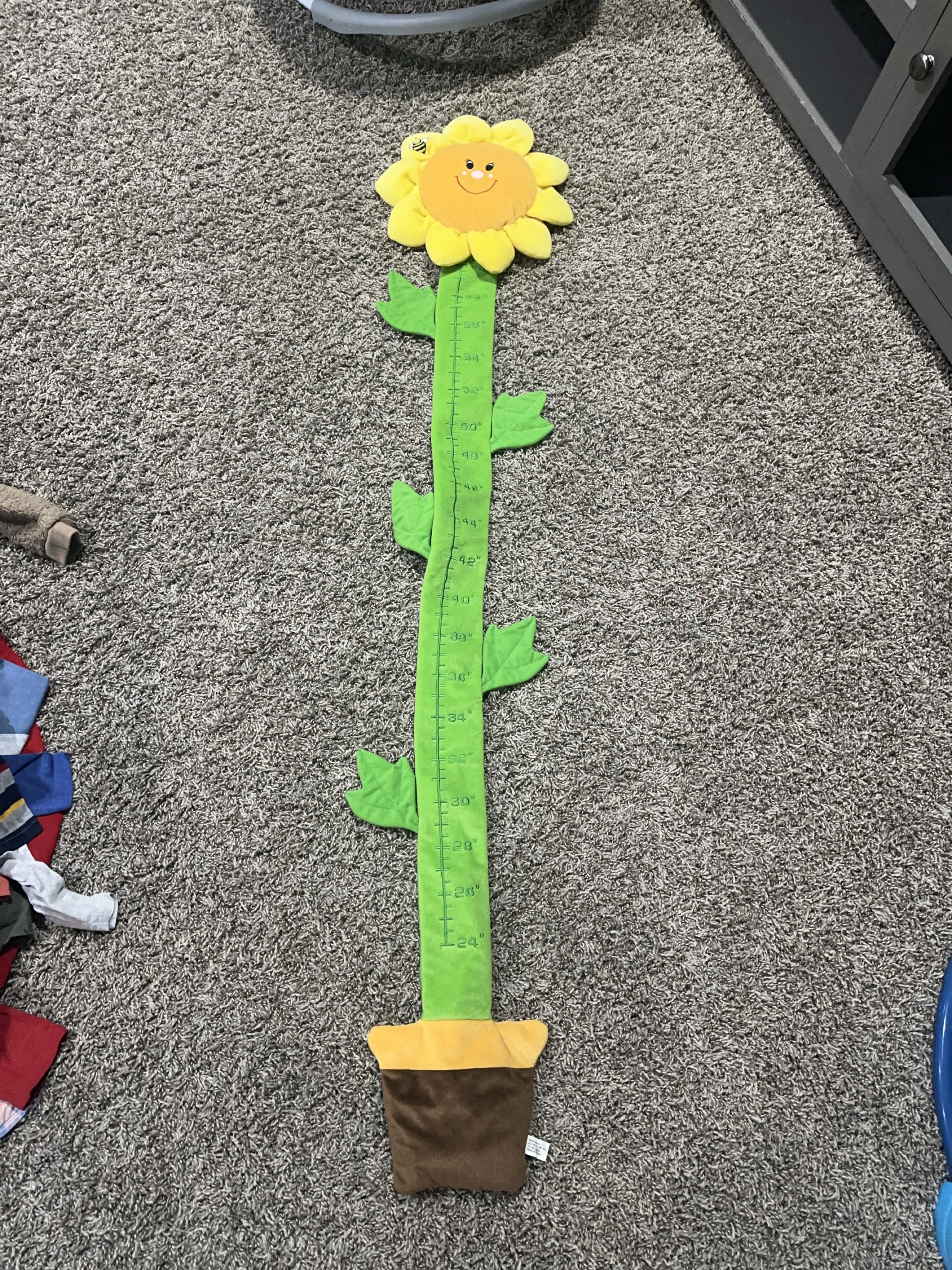 Sunflower Growth Chart thumbnail
