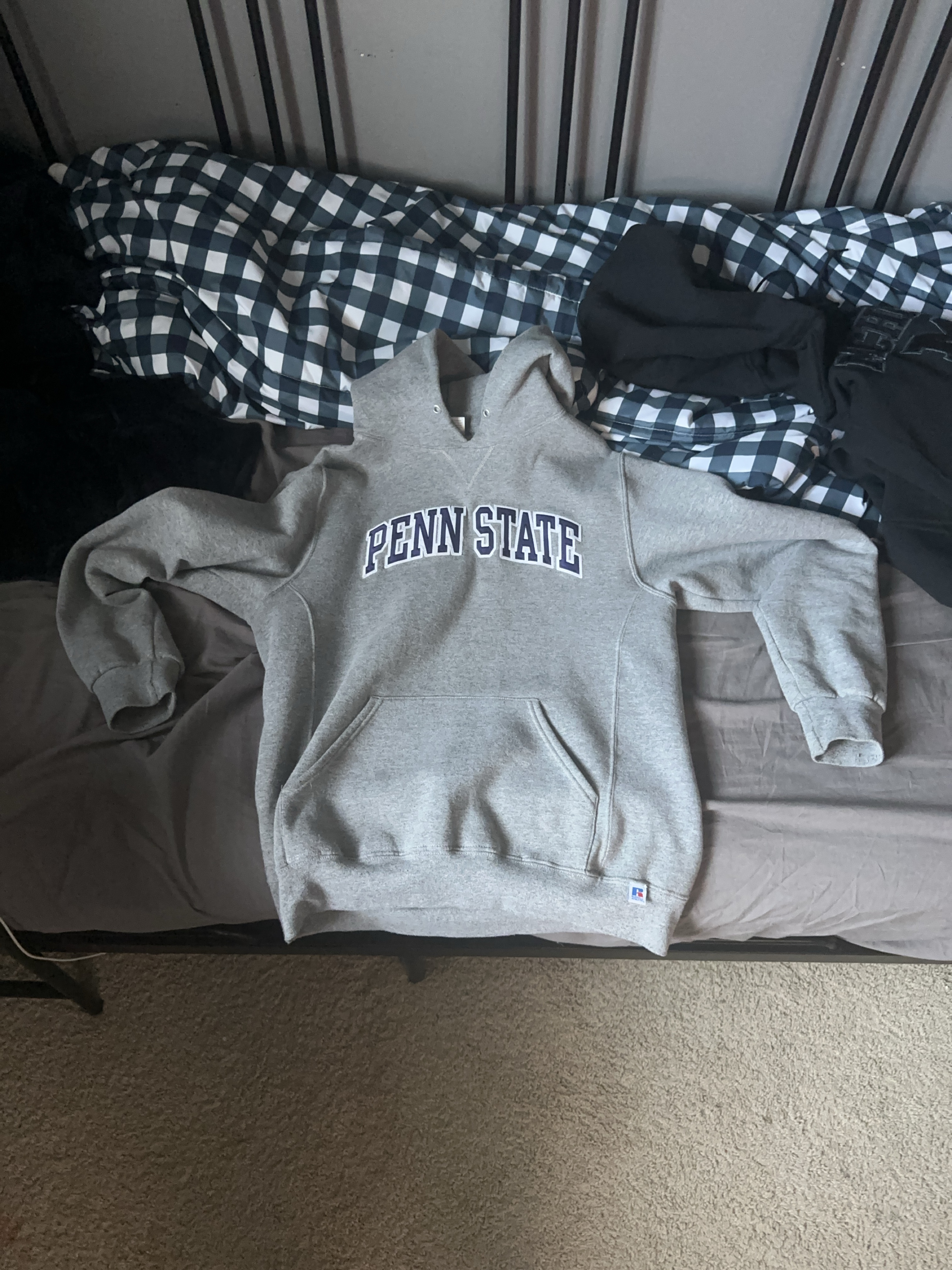 Penn State Champion Reverse Weave Hoodie thumbnail