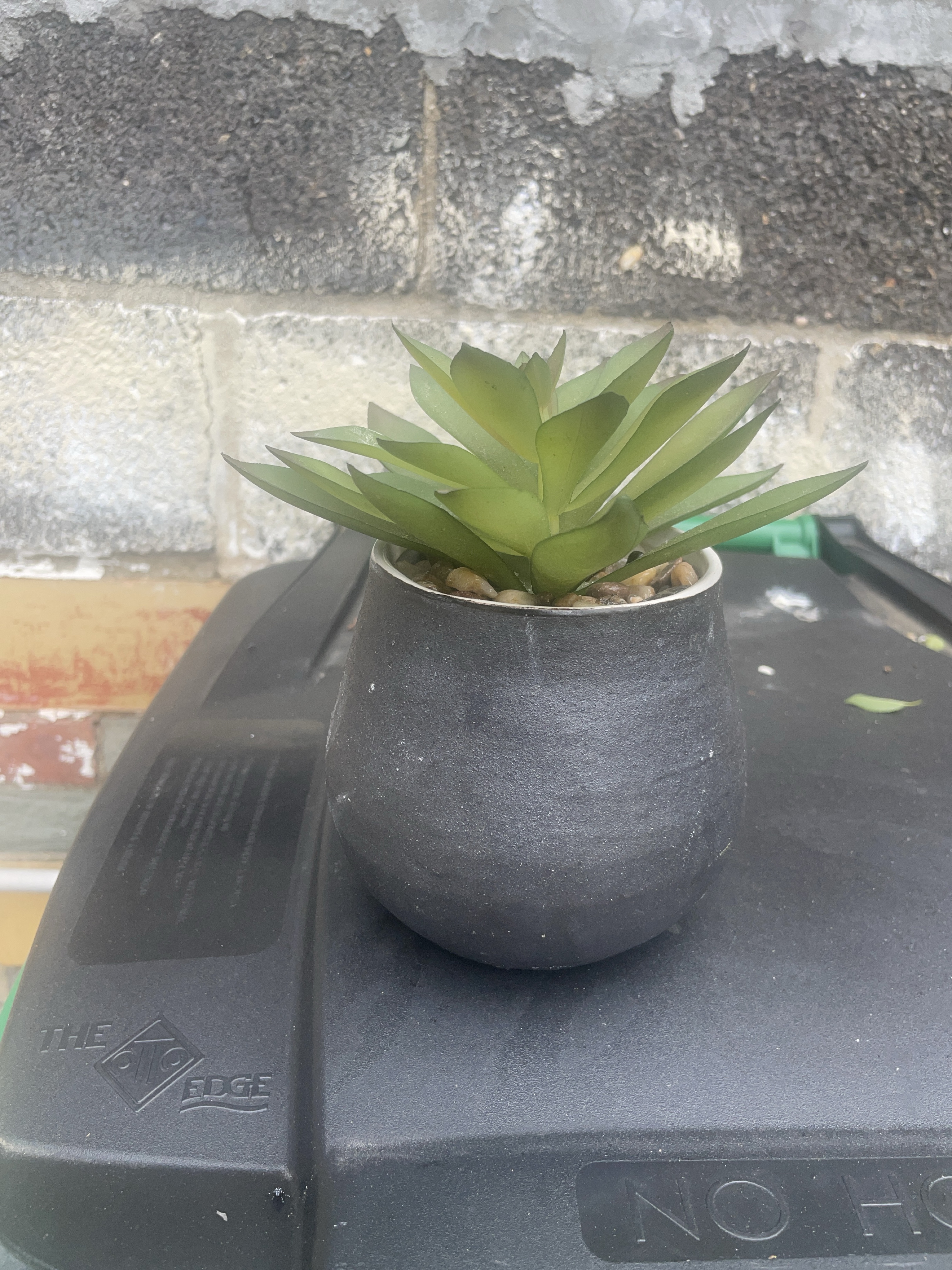 Artificial Succulent in Black Pot thumbnail