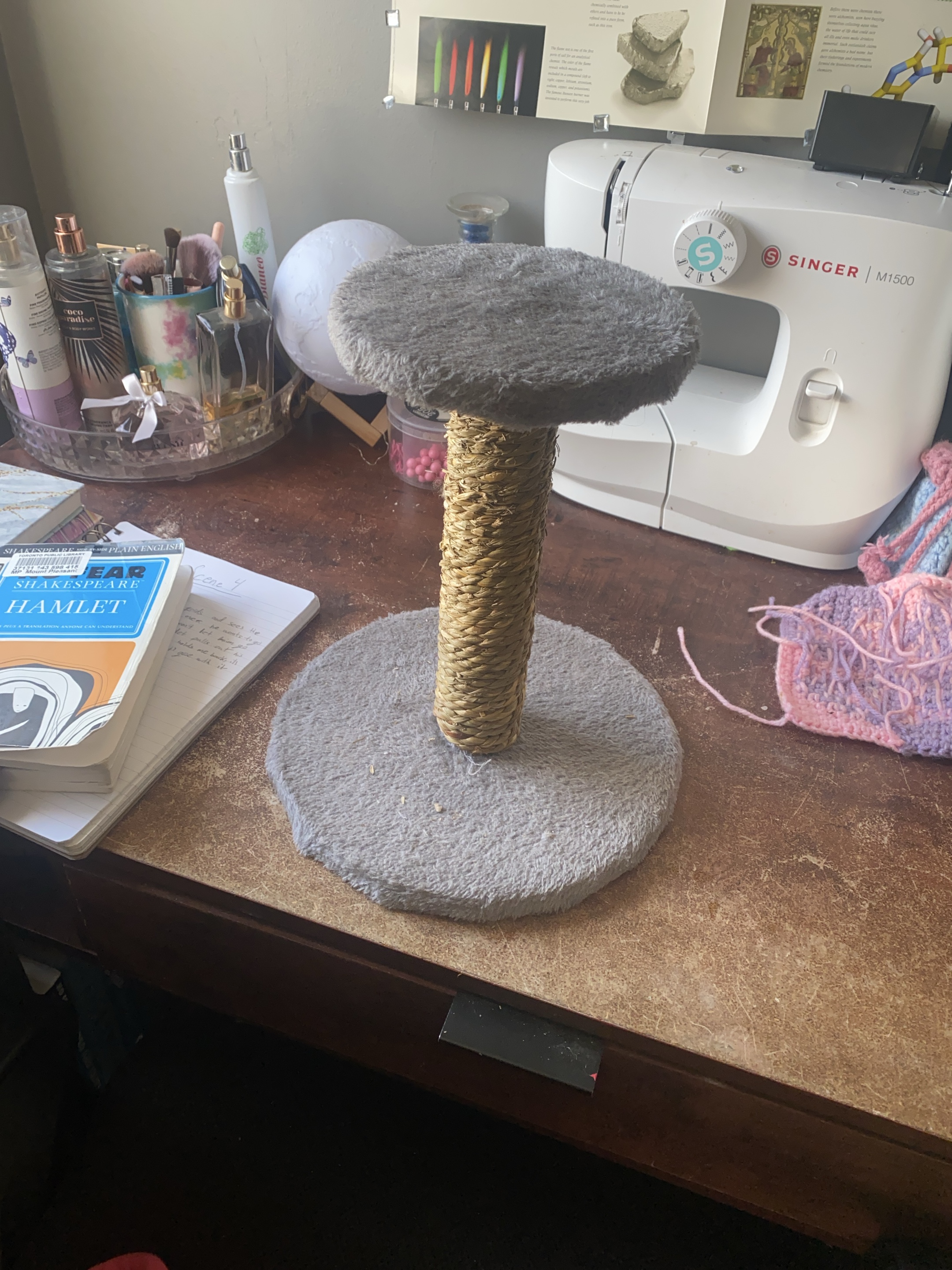 Small grey cat scratching post thumbnail