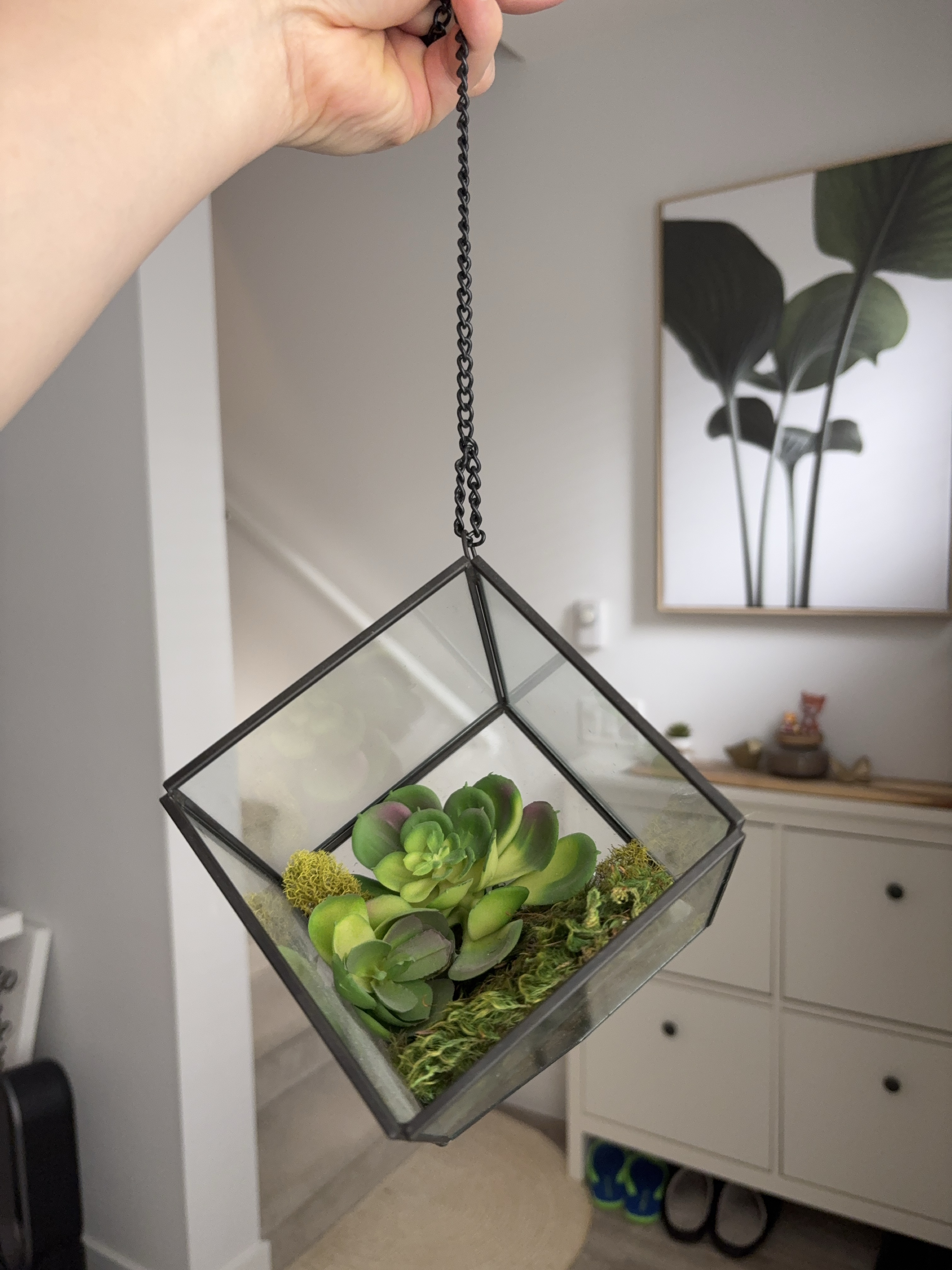 Hanging Glass Geometric Terrarium