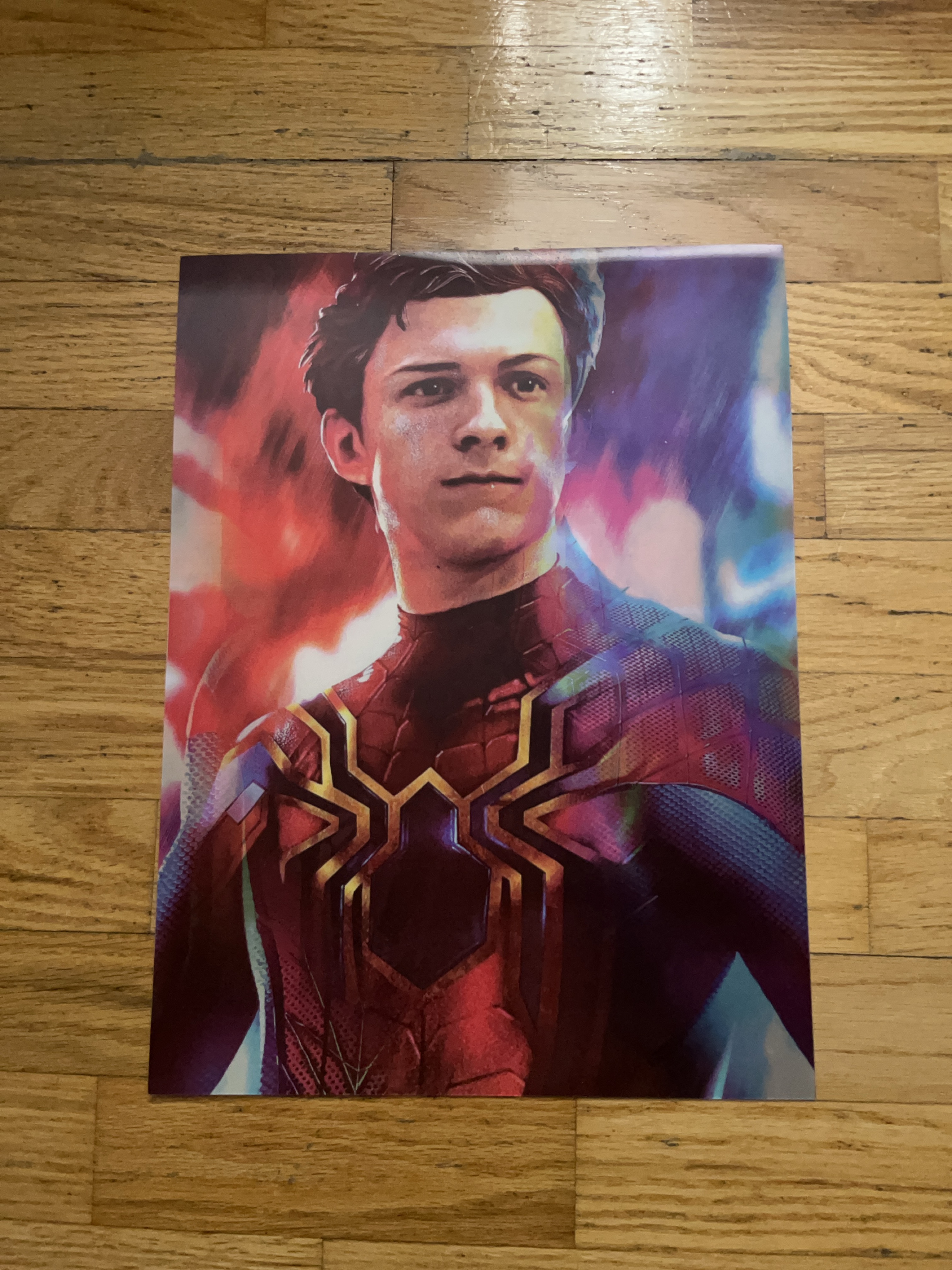 Spider-Man Tom Holland/ Andrew Garfield Poster