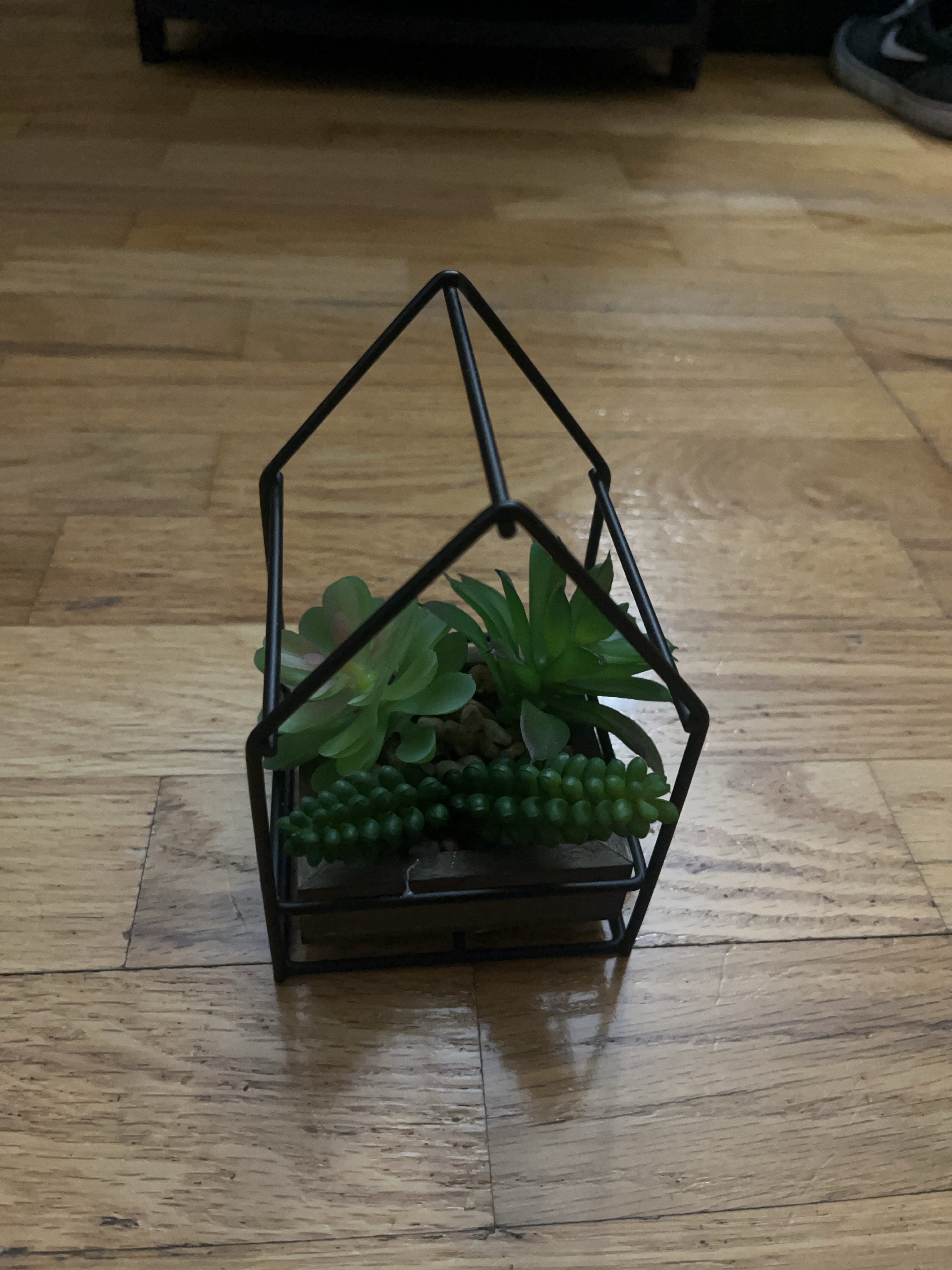 Geometric Succulent Planter