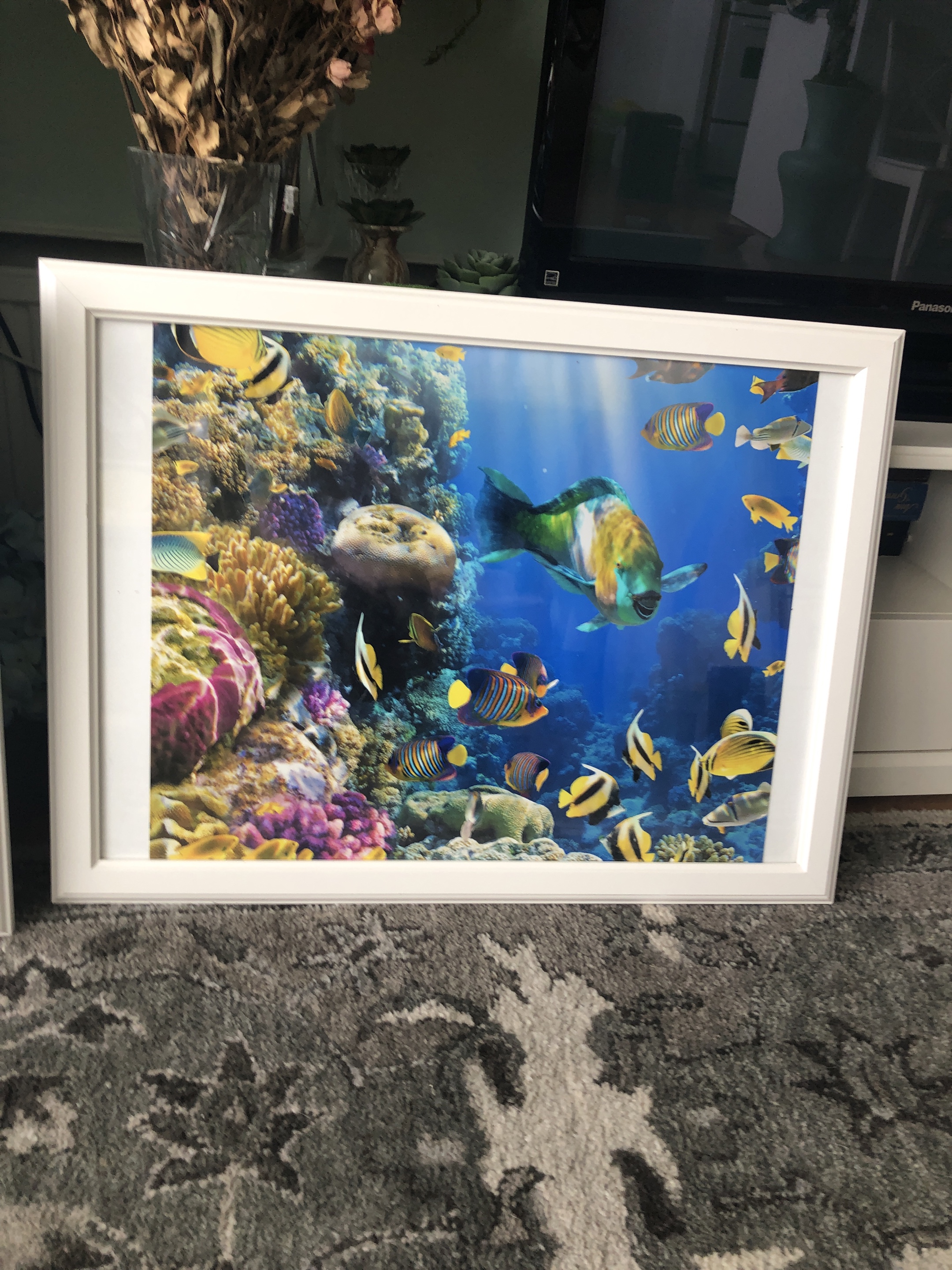 Pair of Framed Ocean Life Prints
