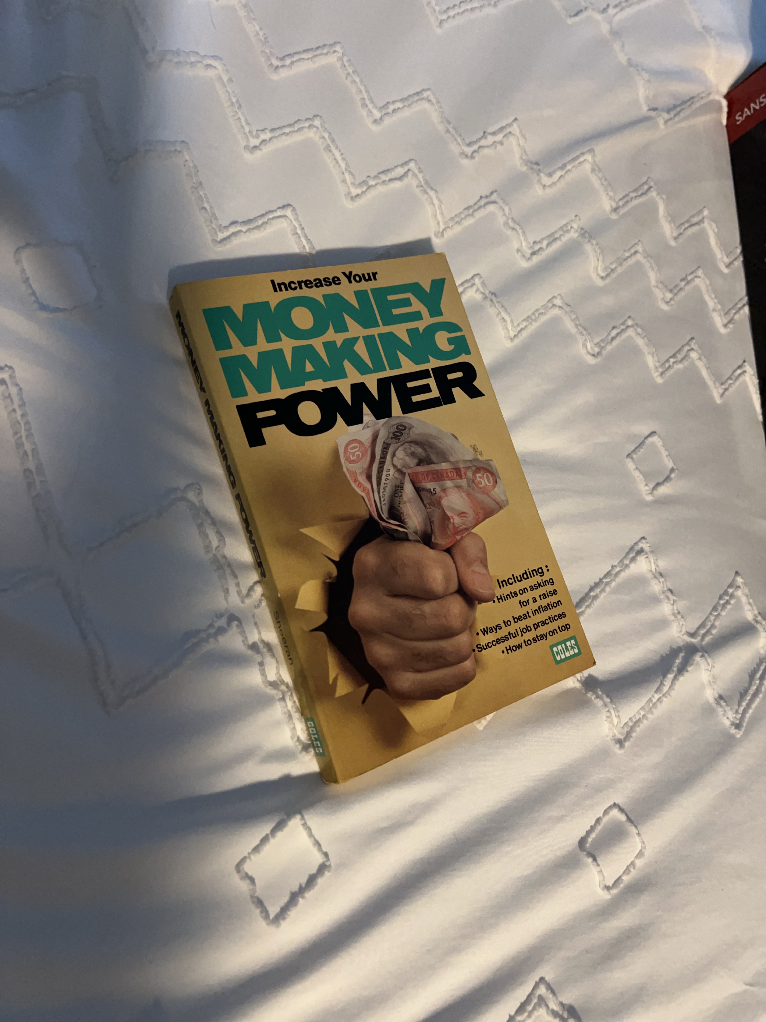 Increase Your Money Making Power by Sheeran thumbnail