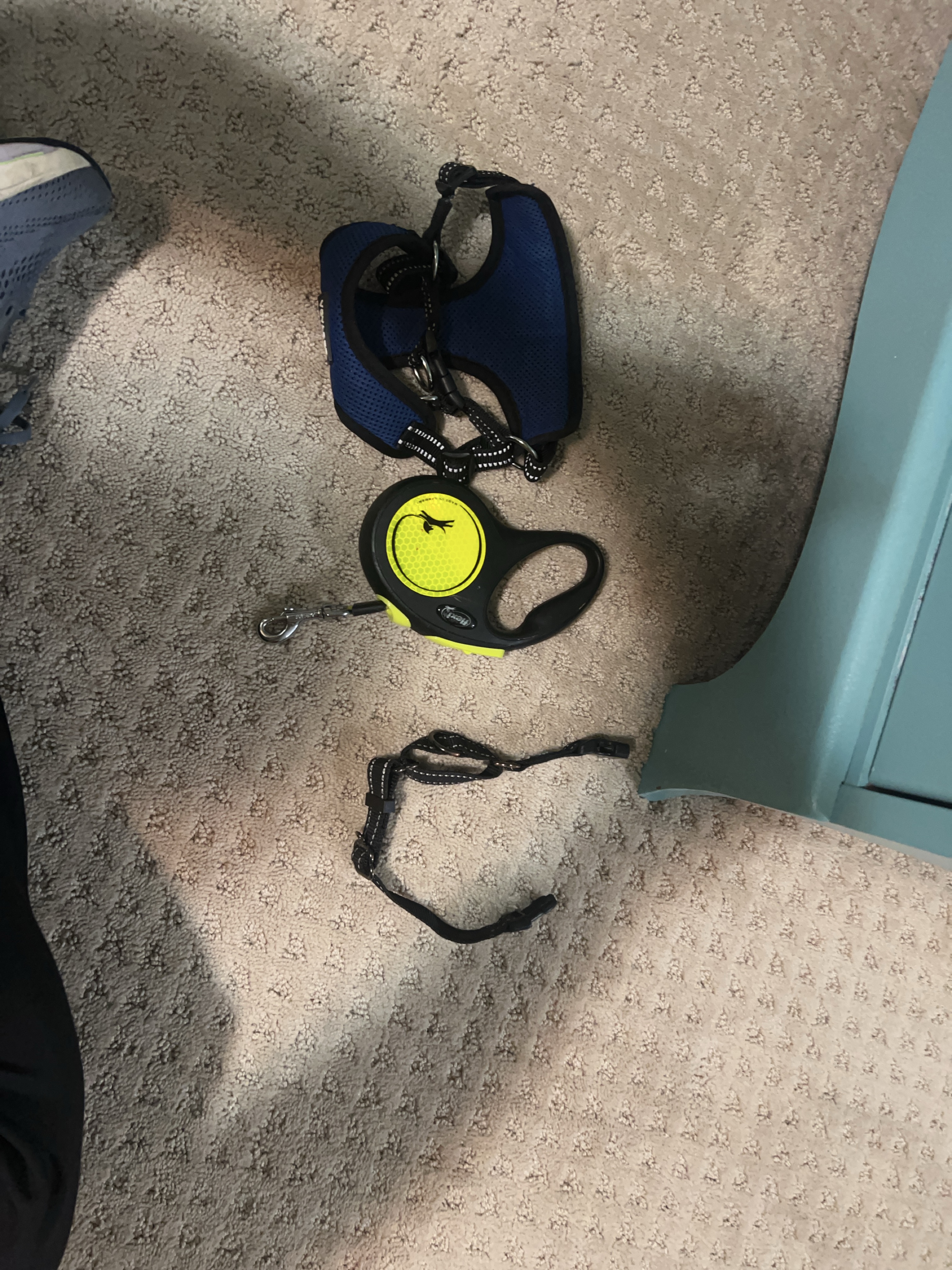 Pet Harness, Leash, and Collar Set thumbnail