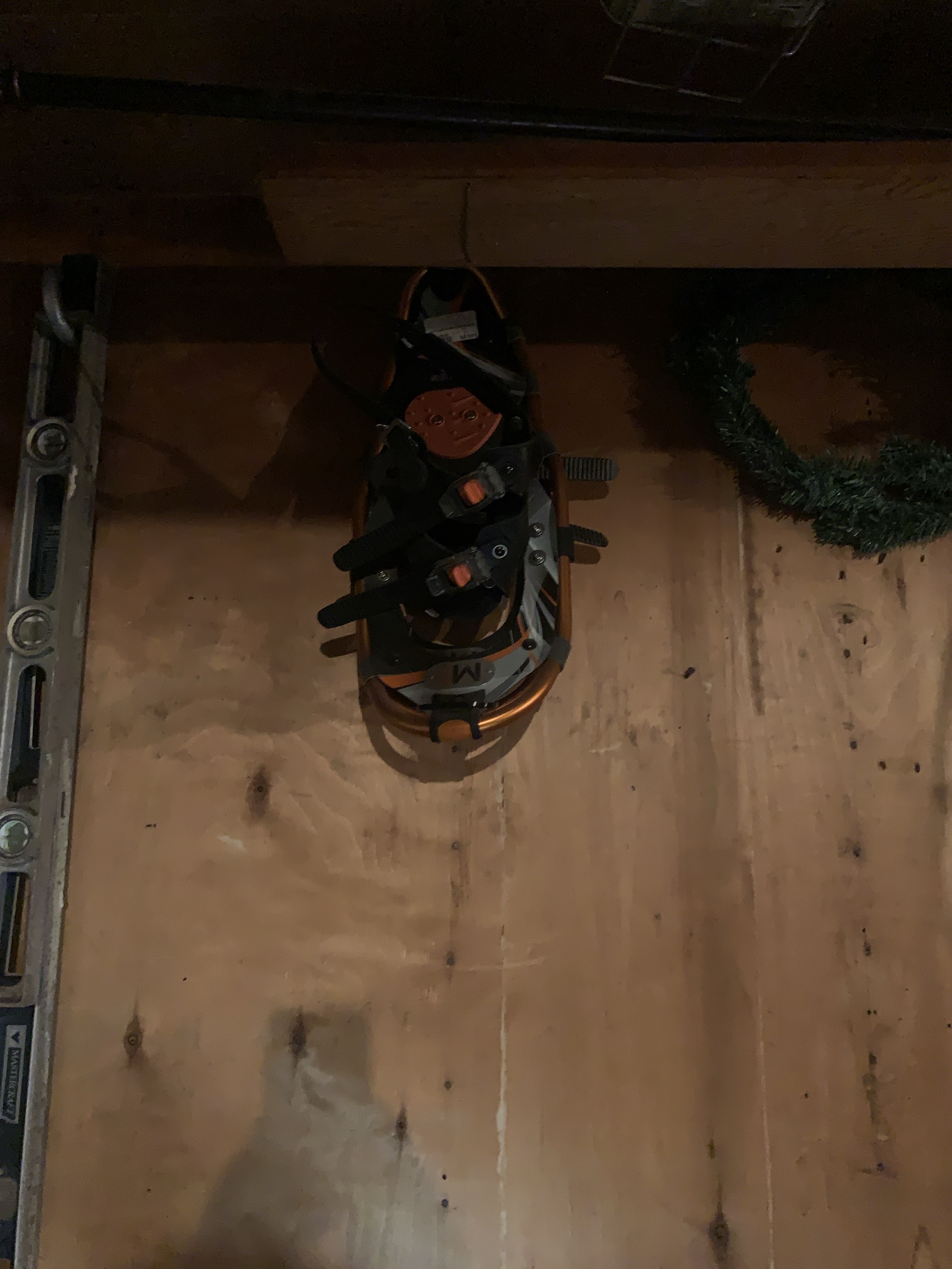 Snowshoes