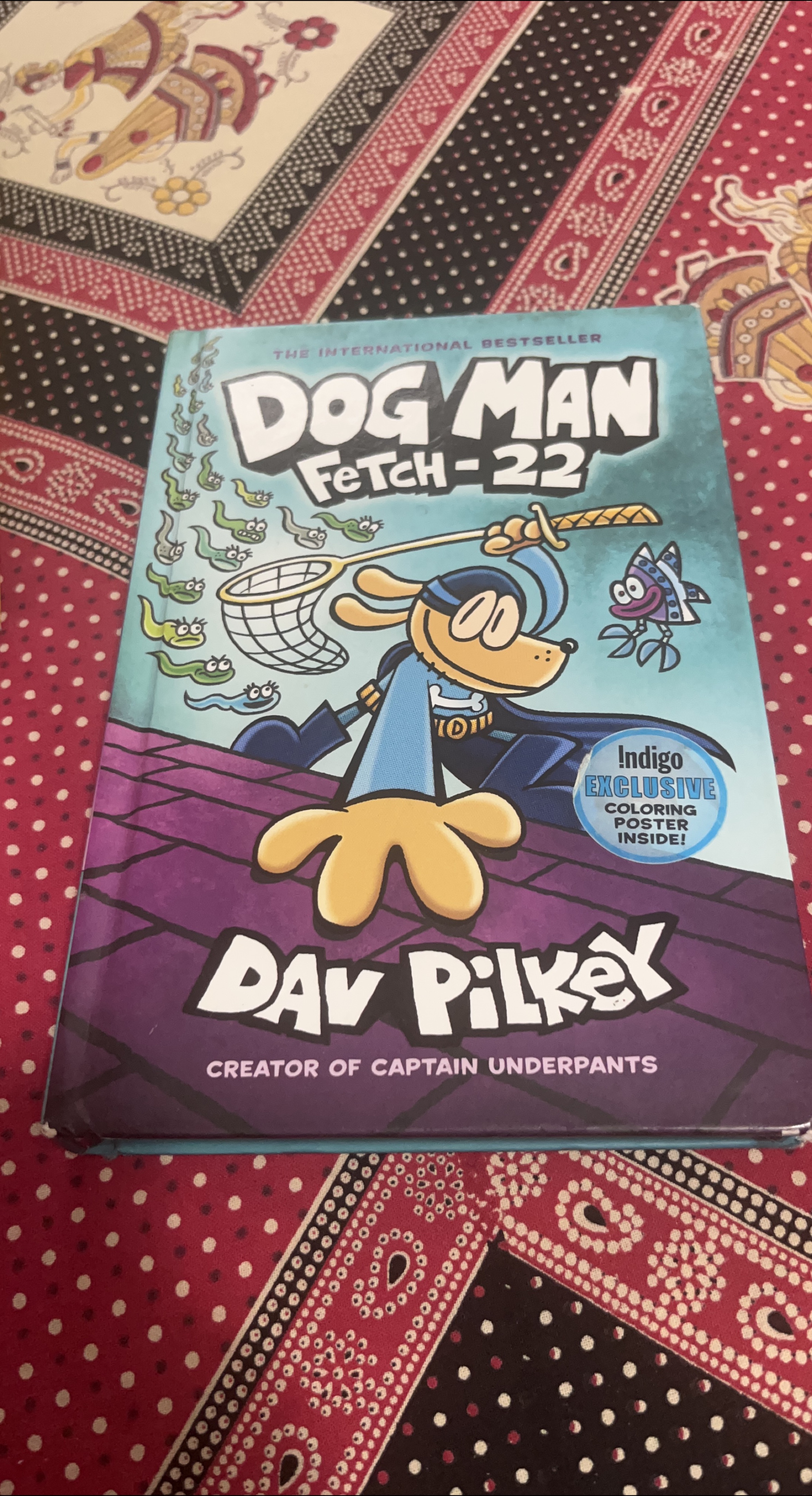 Dog Man: Fetch-22 Book thumbnail