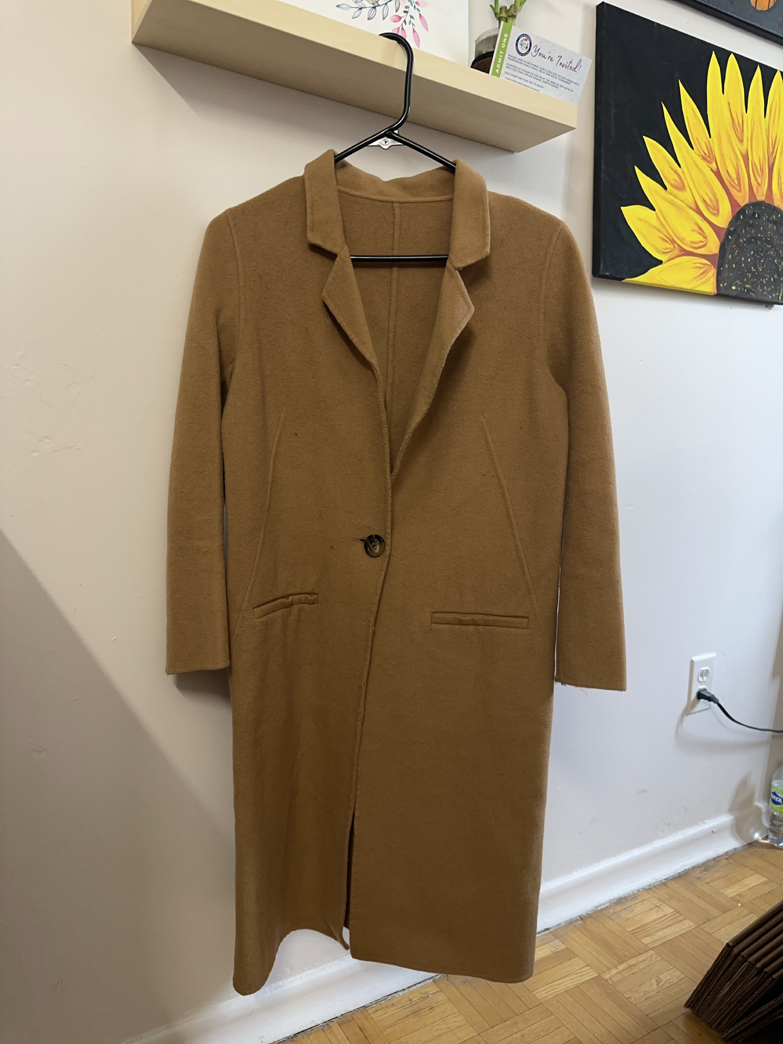 Brown coat thumbnail