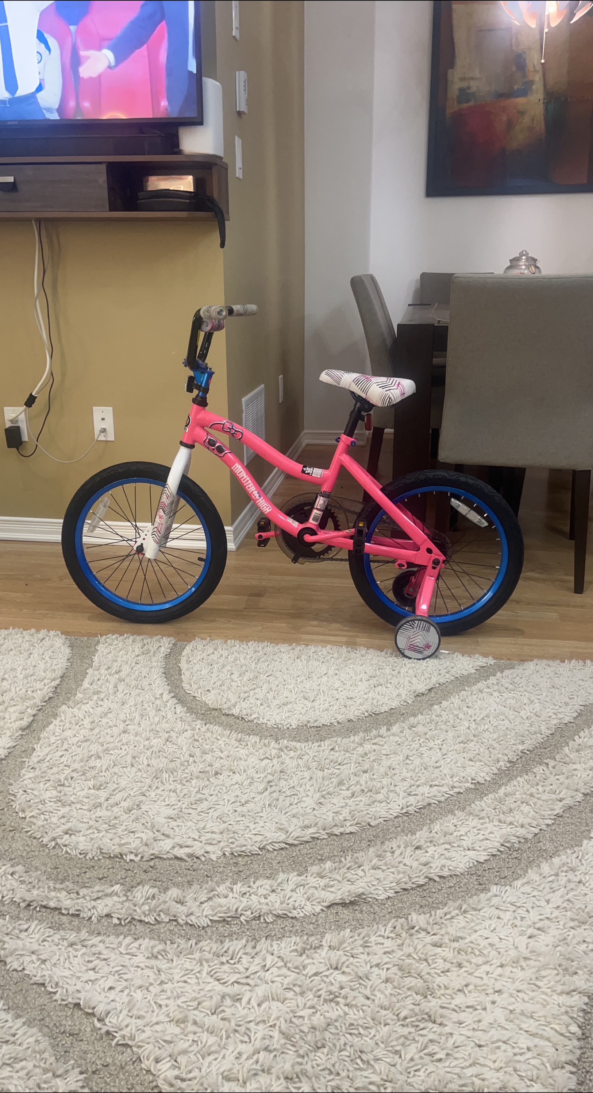Monster High Kids Bicycle + Kids helmet and protective gear