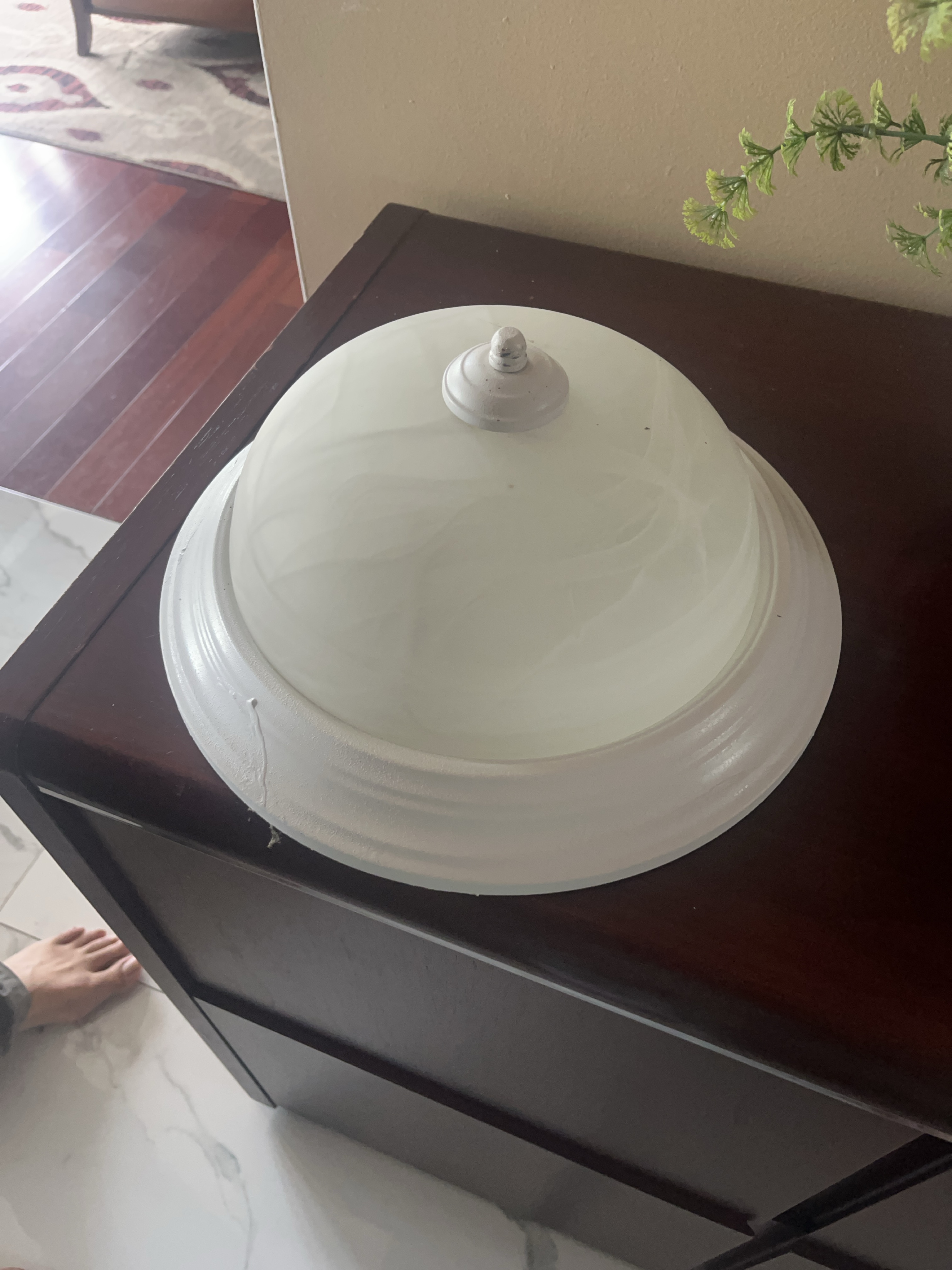 Ceiling Light Fixture