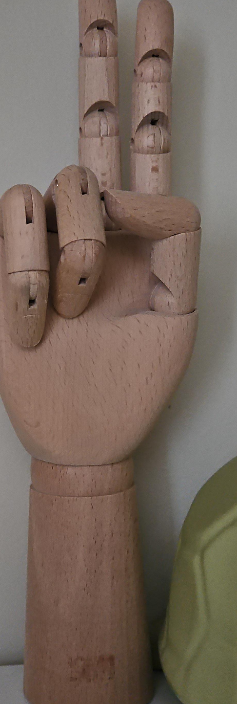 Wooden Hand Model thumbnail