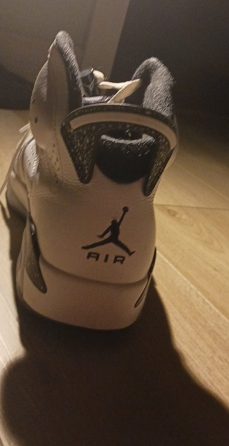 Nike Air Jordan VI 6
