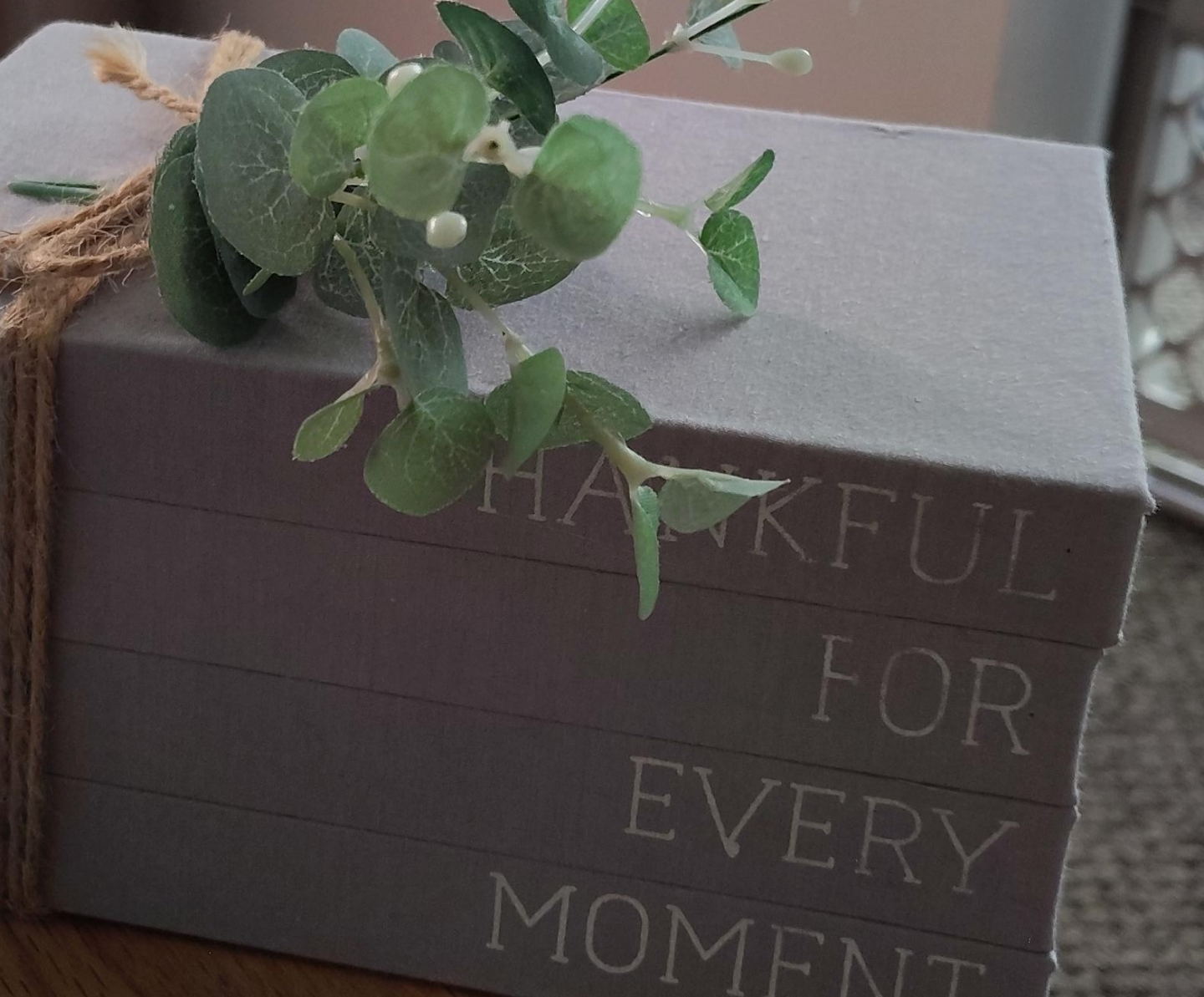 Wendy Bellissimo Faux Books thumbnail