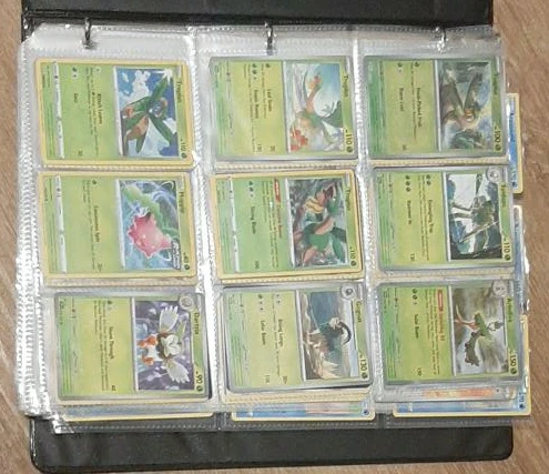 Pokemon Trading Card Binder