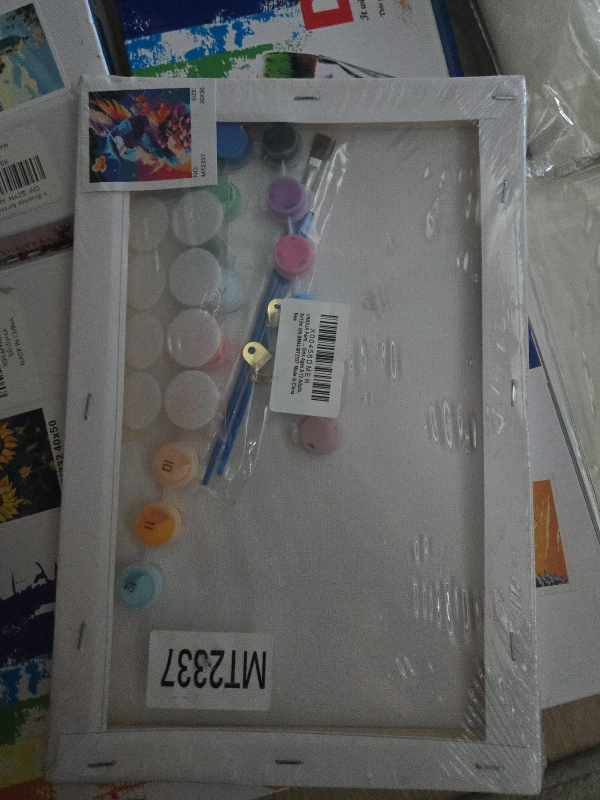 Paint by Numbers Kit - 20x30cm