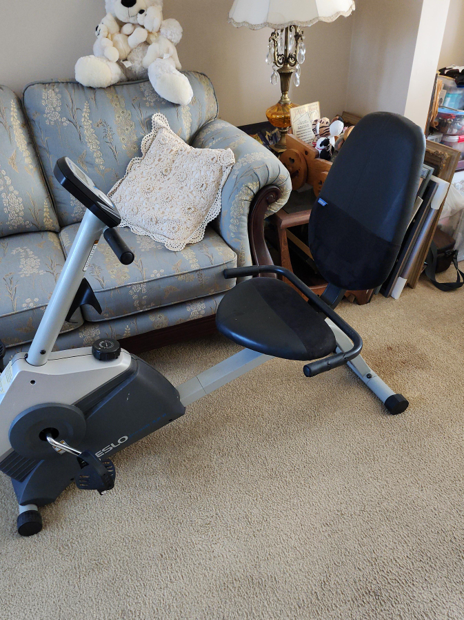 Eslo Recumbent Exercise Bike